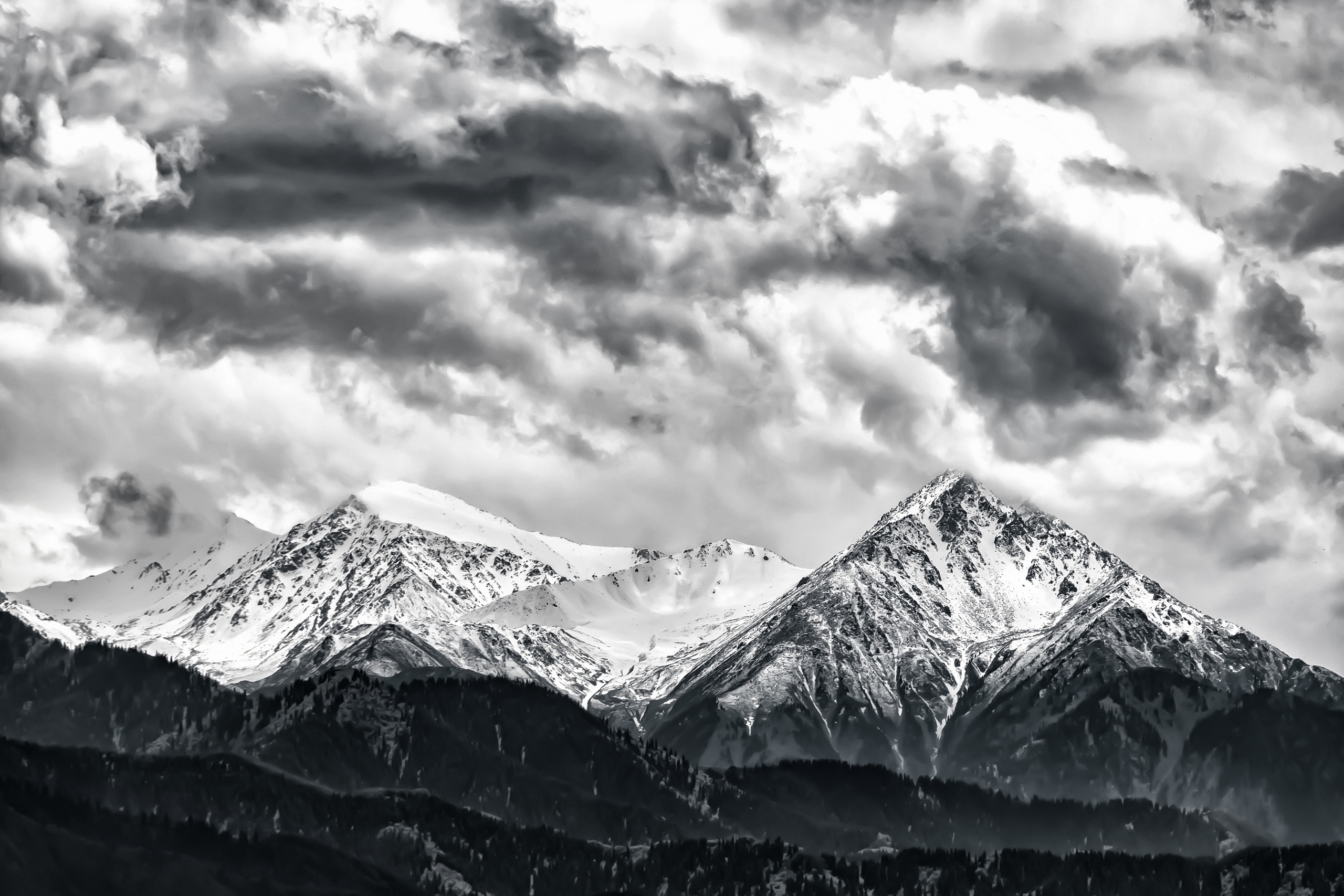 Черно белая фотография. Профессиональный фотограф в Астане