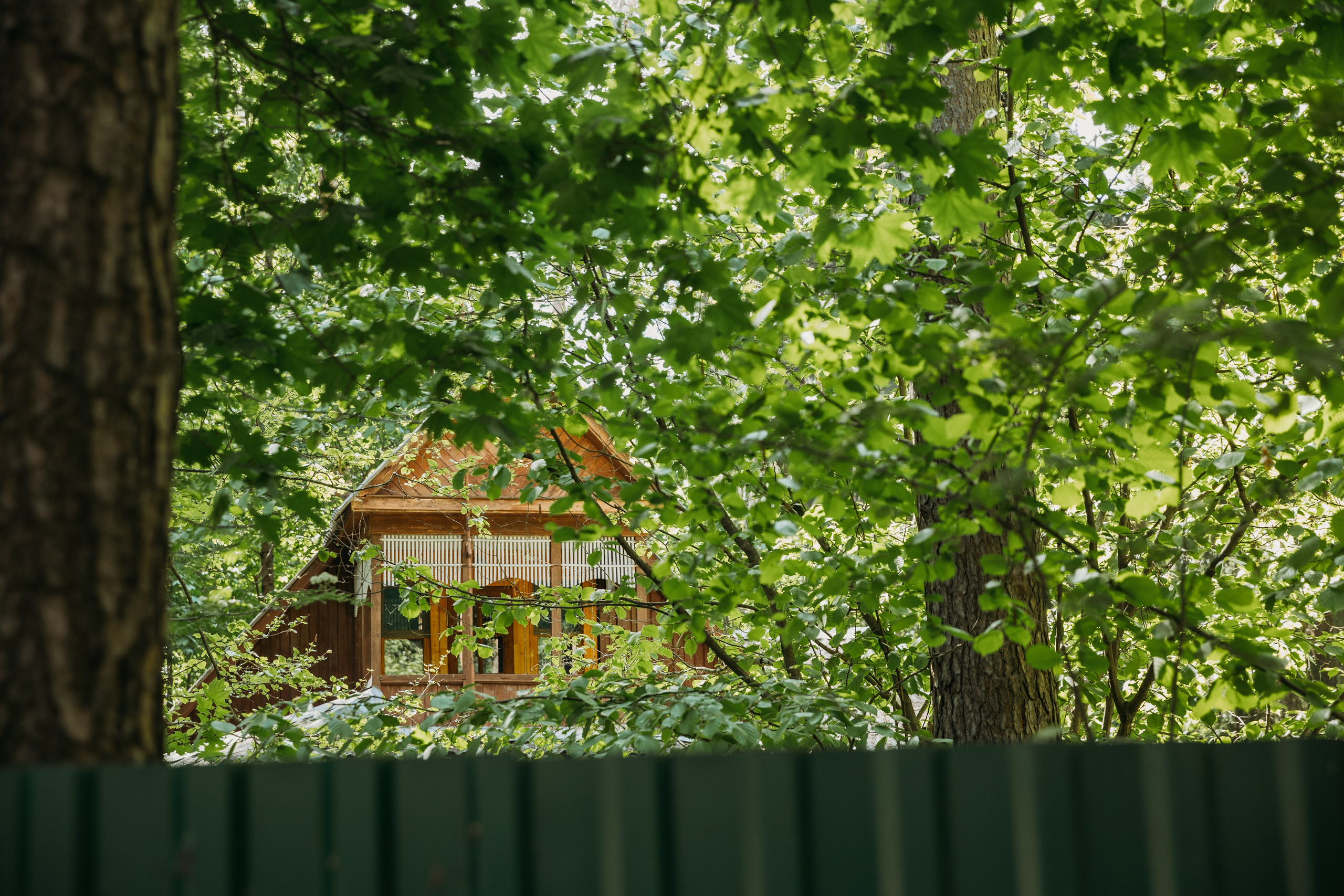 Родные люди «Кратово». Леся Гаранина. Семейный фотограф/видеограф Москва и область