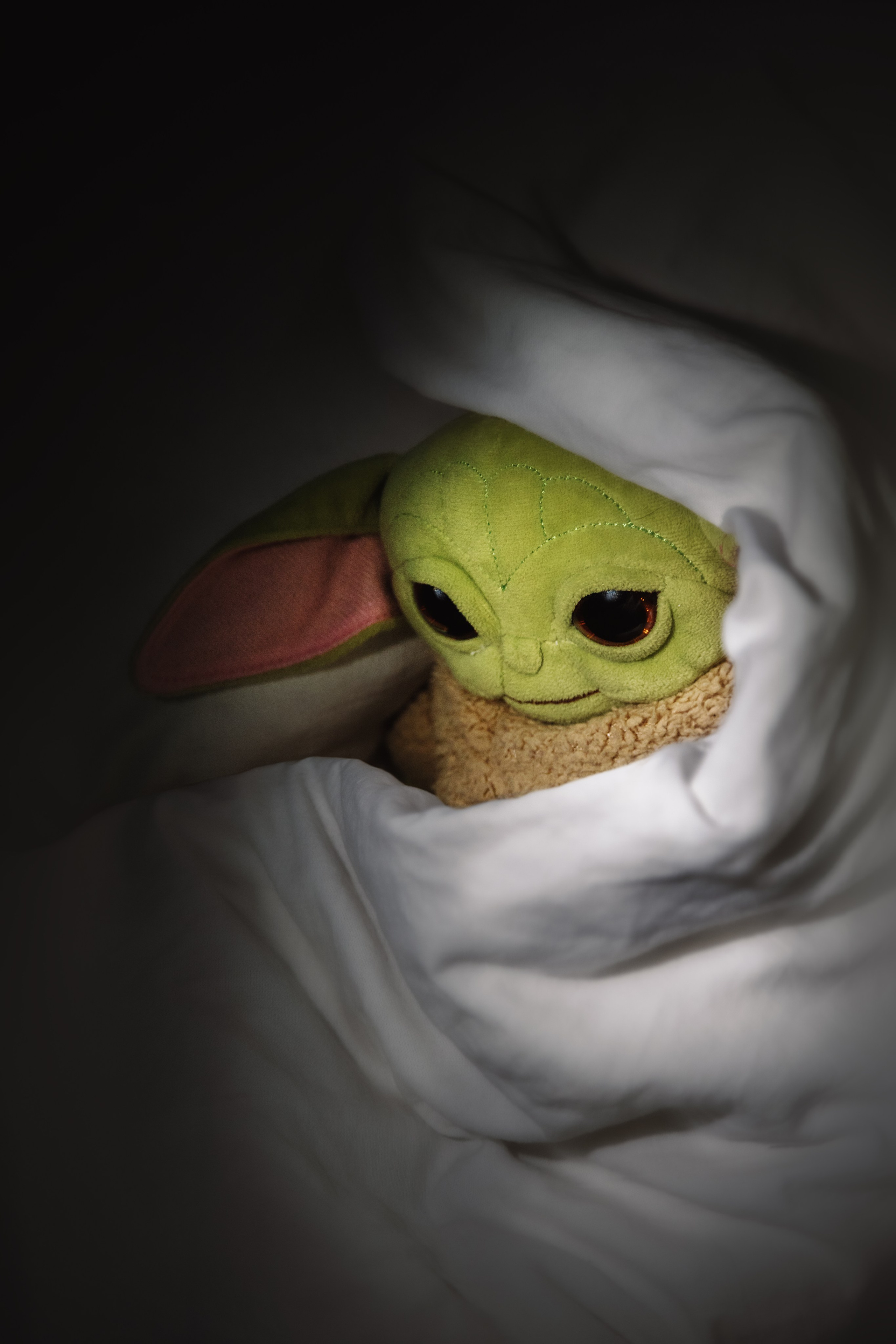 Проект «366»|2024|Фото каждый день. LENA GRACE photographer ||ЛЕНА ГРЭЙС фотограф