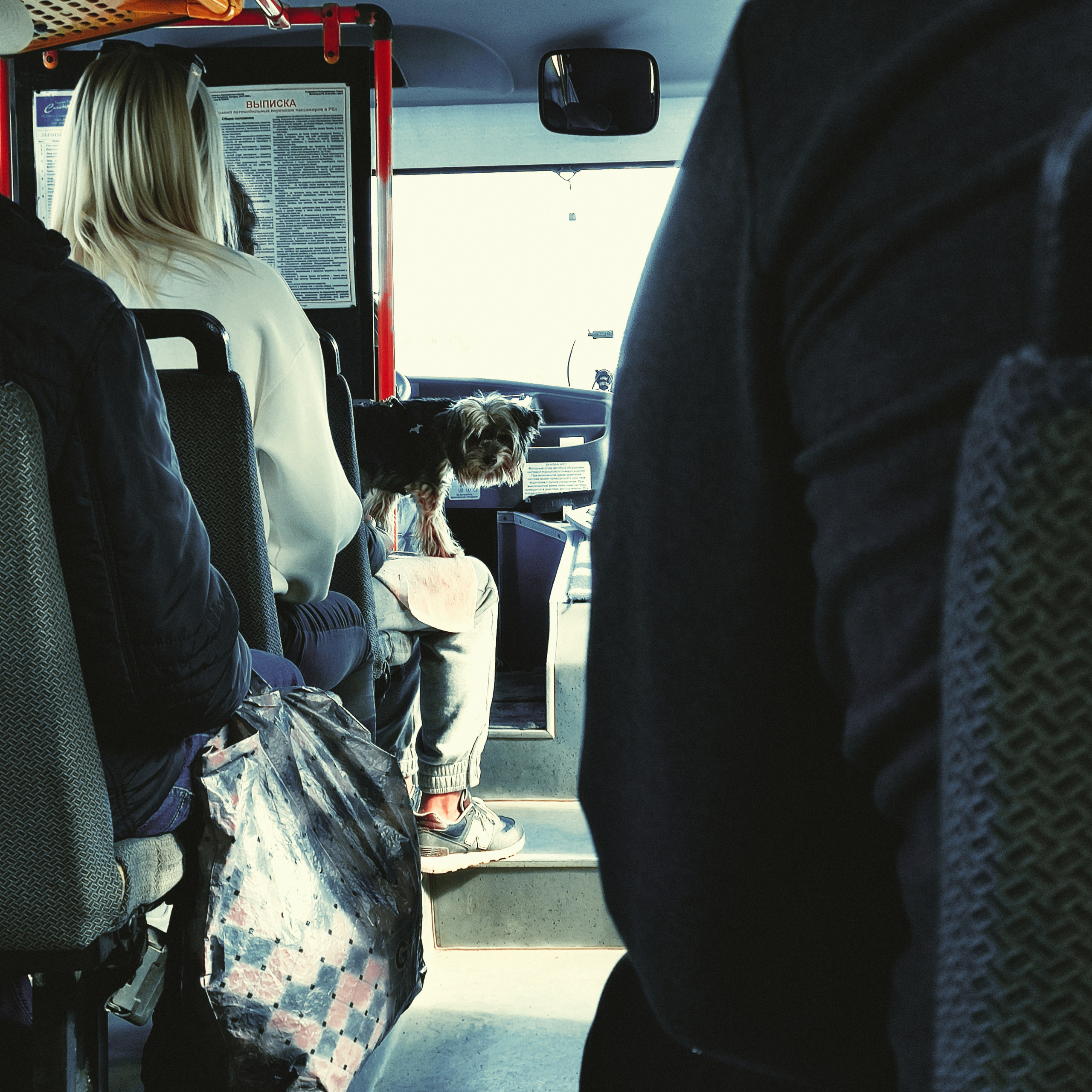 Street photo. Фотограф (photographer) Lischinski Vitaliy