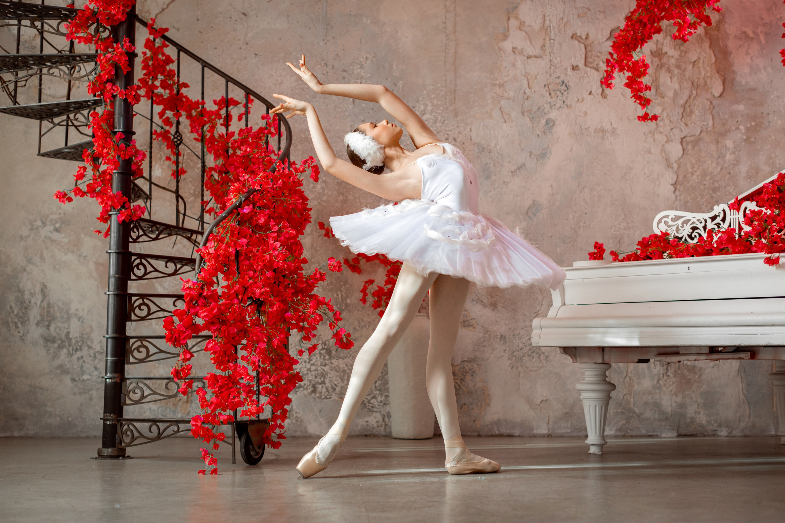 Балетная съёмка в интерьере. Балетный фотограф Алина Ханько — Душа Балета