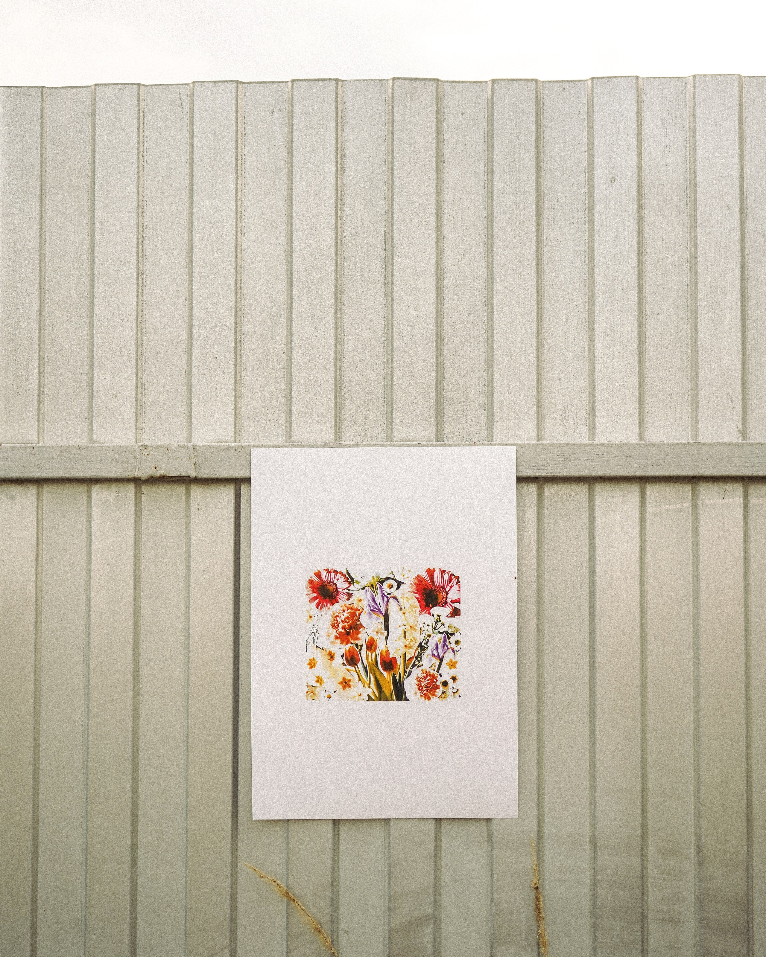 FLOWERS. Фотограф Нижний Новгород