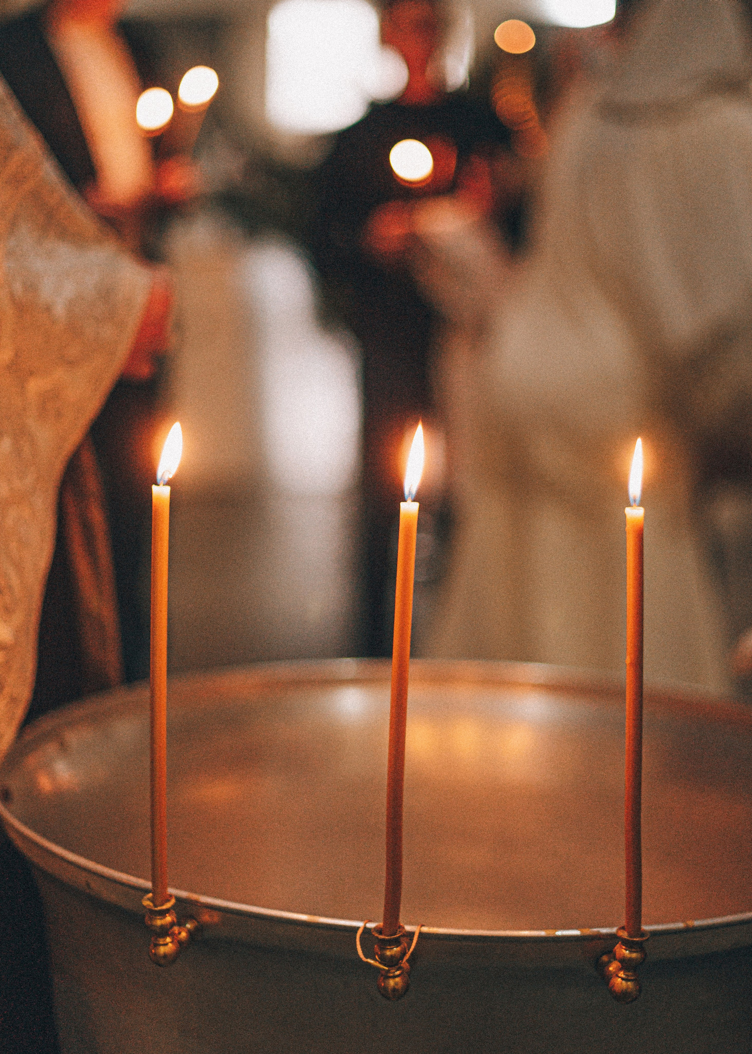 Лев. Семейный фотограф в Санкт-Петербурге Ира Ревчук