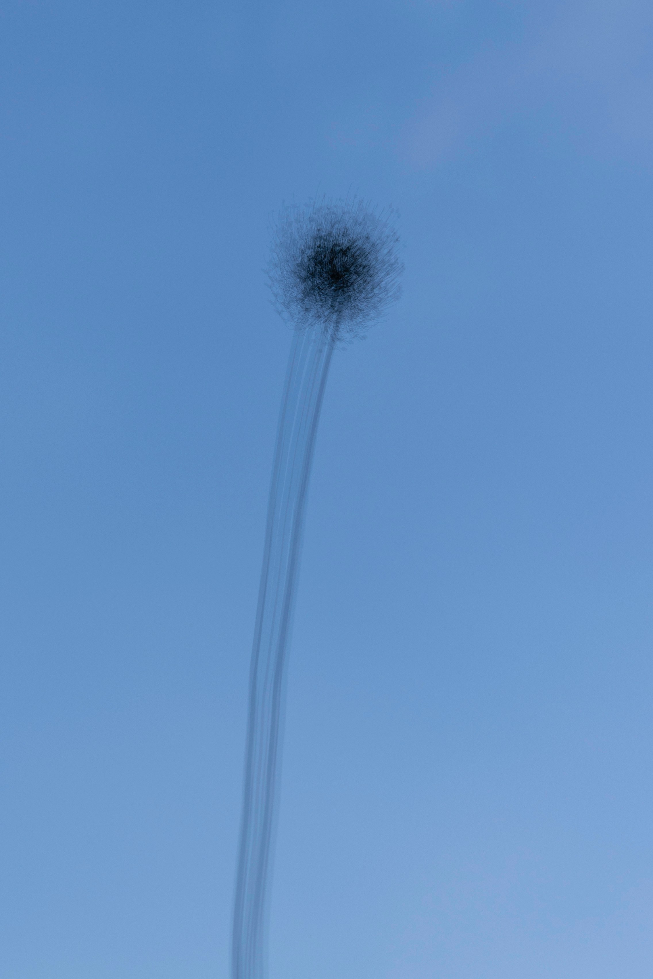 Art prints. Фотограф алина стерхова, алина стерхова фотограф, фотограф москва