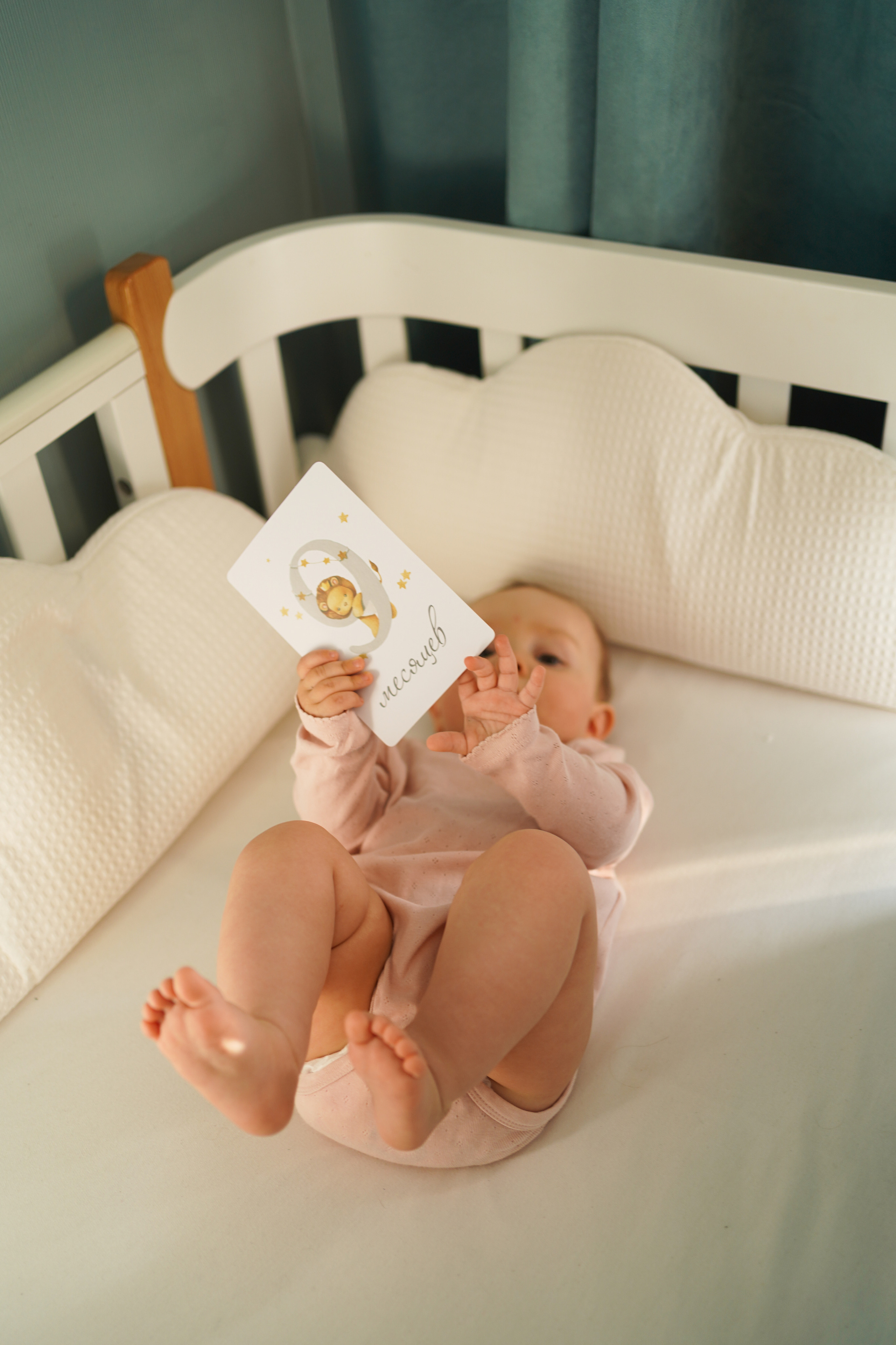 Женя, Миша и Мия. Семейный фотограф в Северодвинске и Архангельске Наталья Проничева