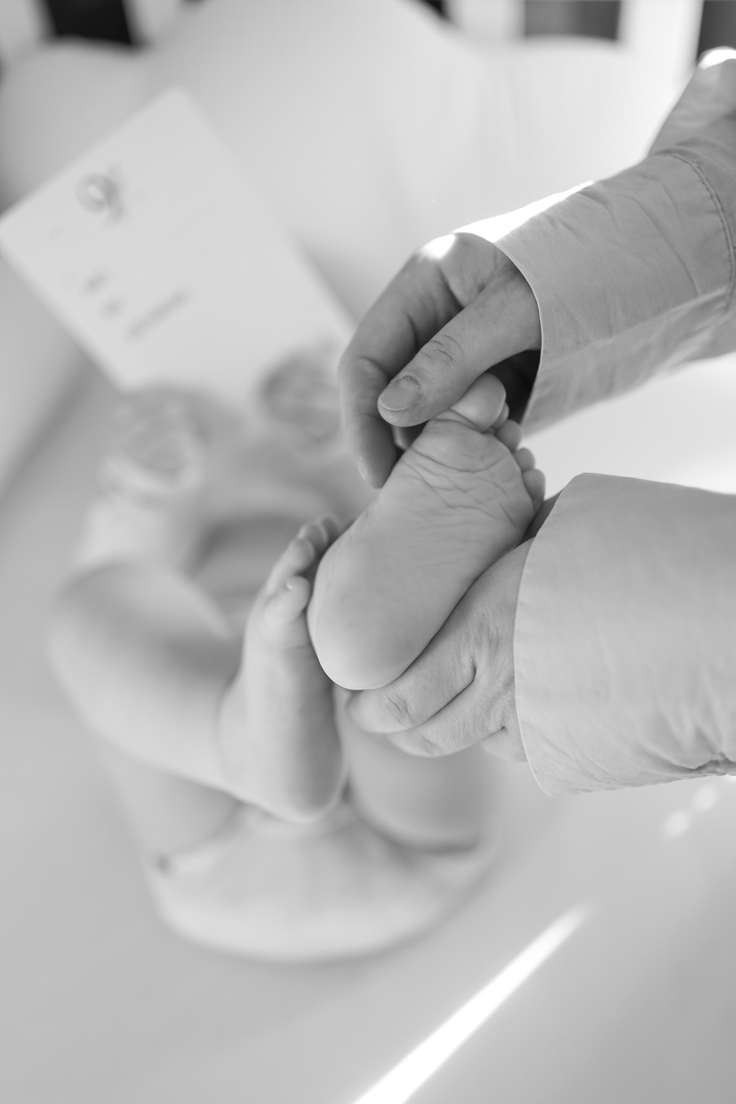 Женя, Миша и Мия. Семейный фотограф в Северодвинске и Архангельске Наталья Проничева