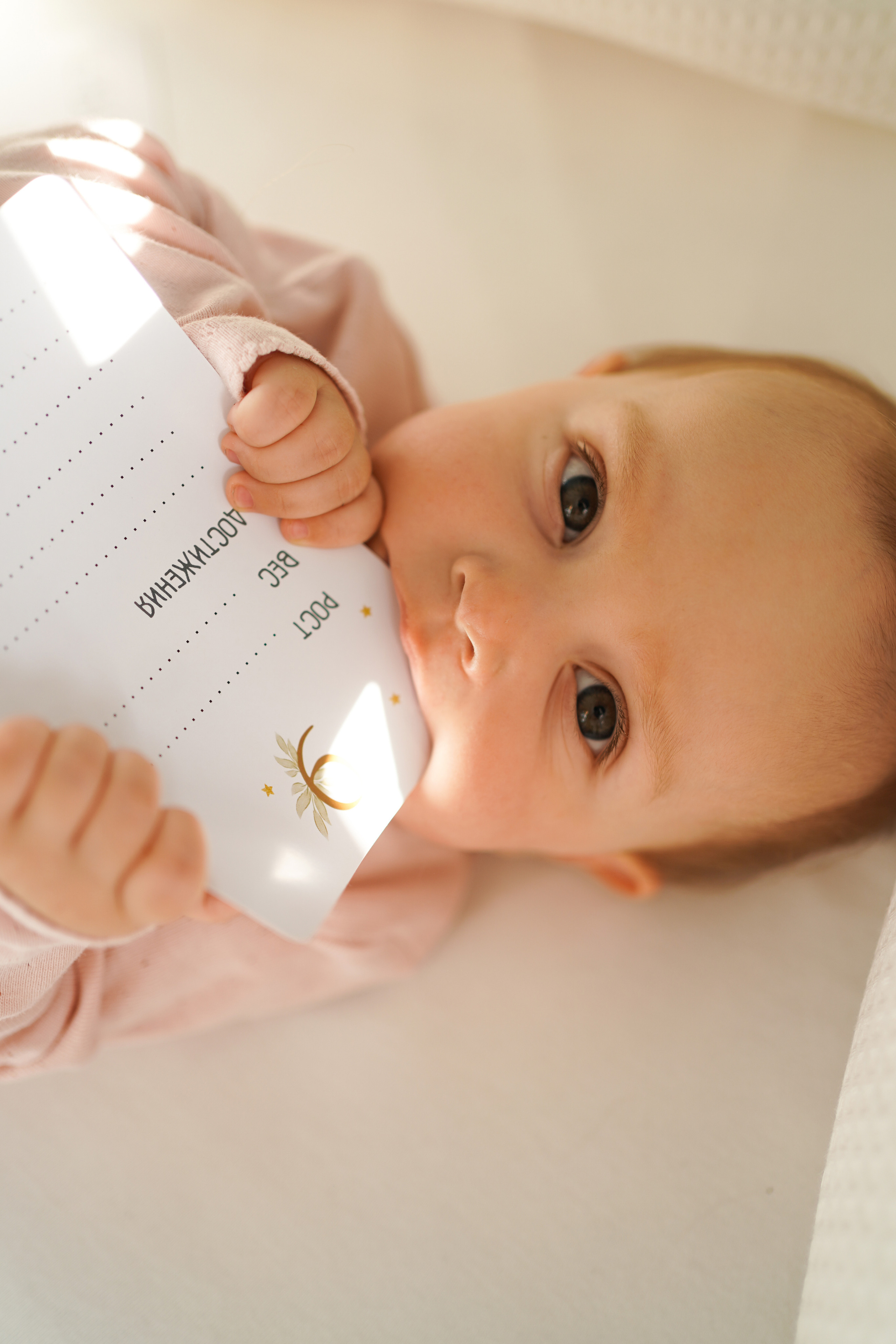 Женя, Миша и Мия. Семейный фотограф в Северодвинске и Архангельске Наталья Проничева