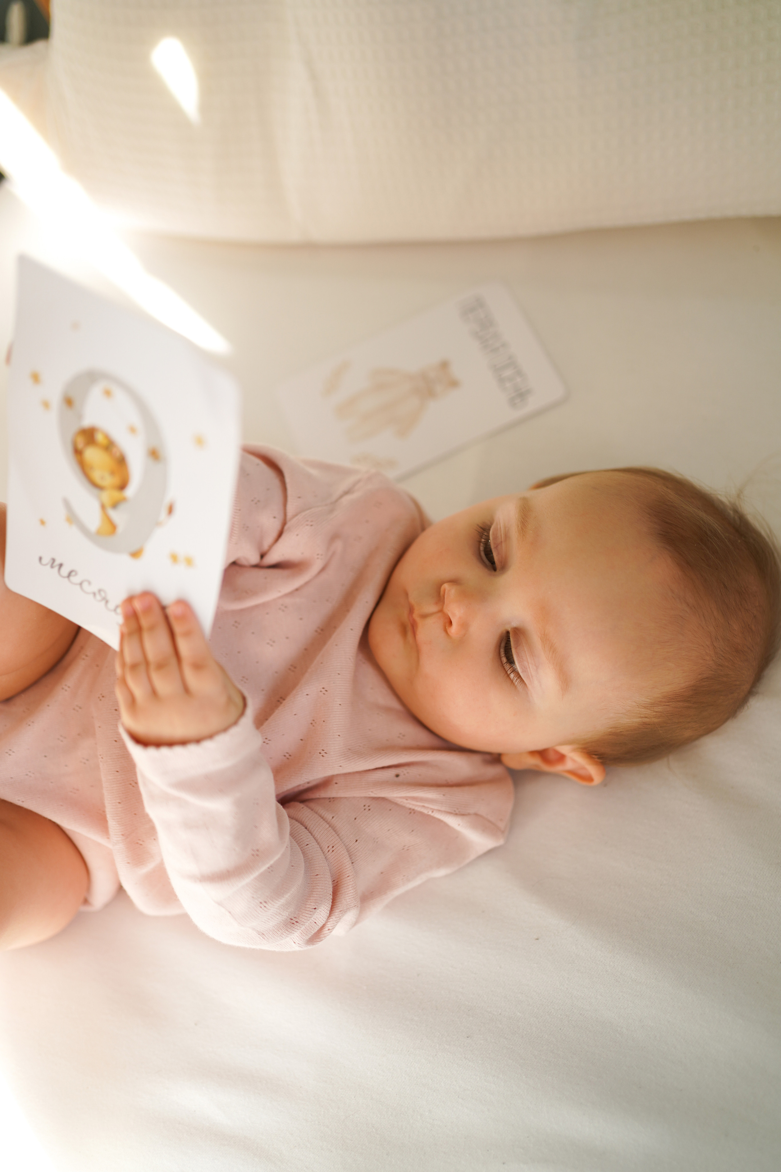 Женя, Миша и Мия. Семейный фотограф в Северодвинске и Архангельске Наталья Проничева