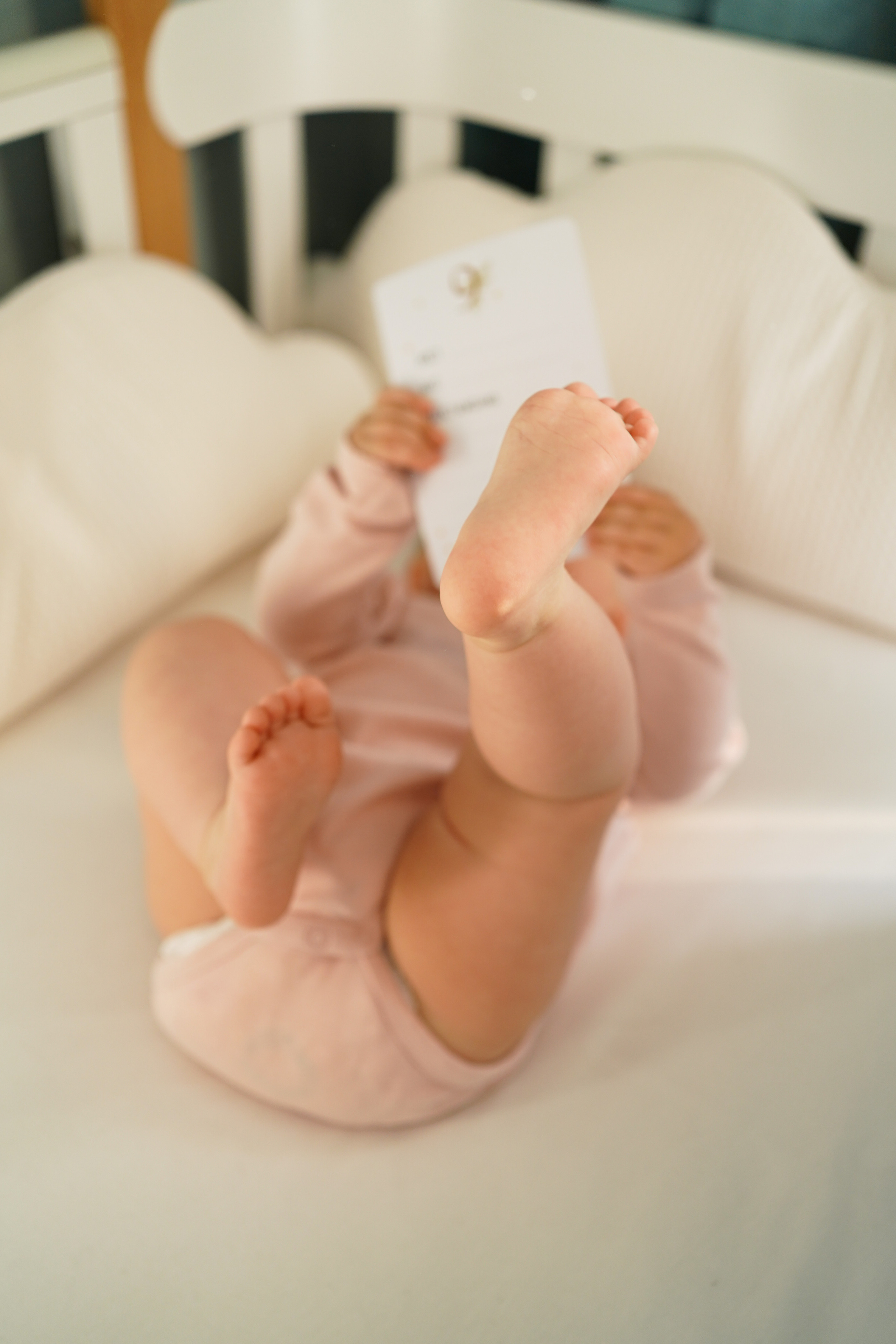 Женя, Миша и Мия. Семейный фотограф в Северодвинске и Архангельске Наталья Проничева