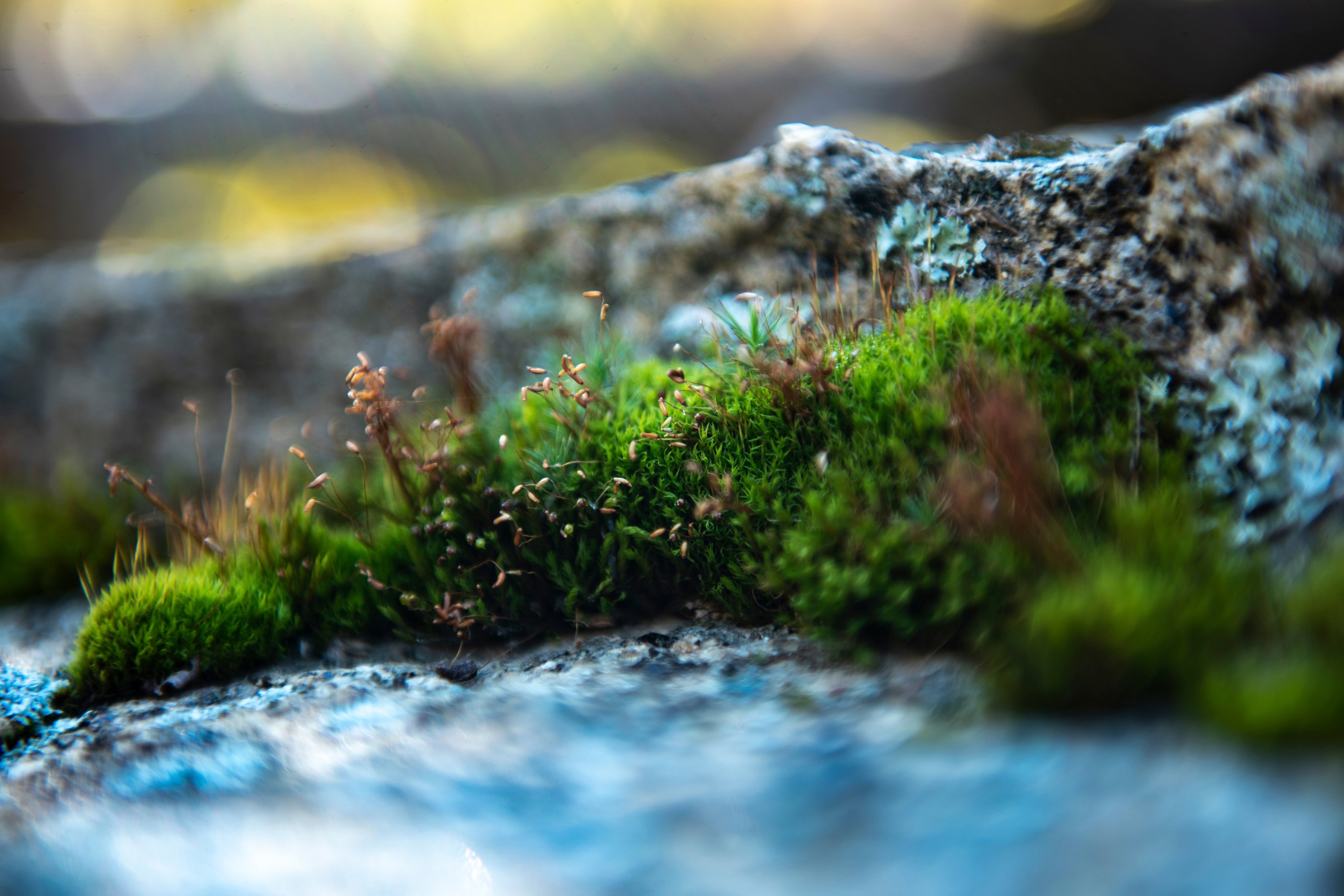 Природа Хабаровского края. Команда фотографов Кристины Ивановой