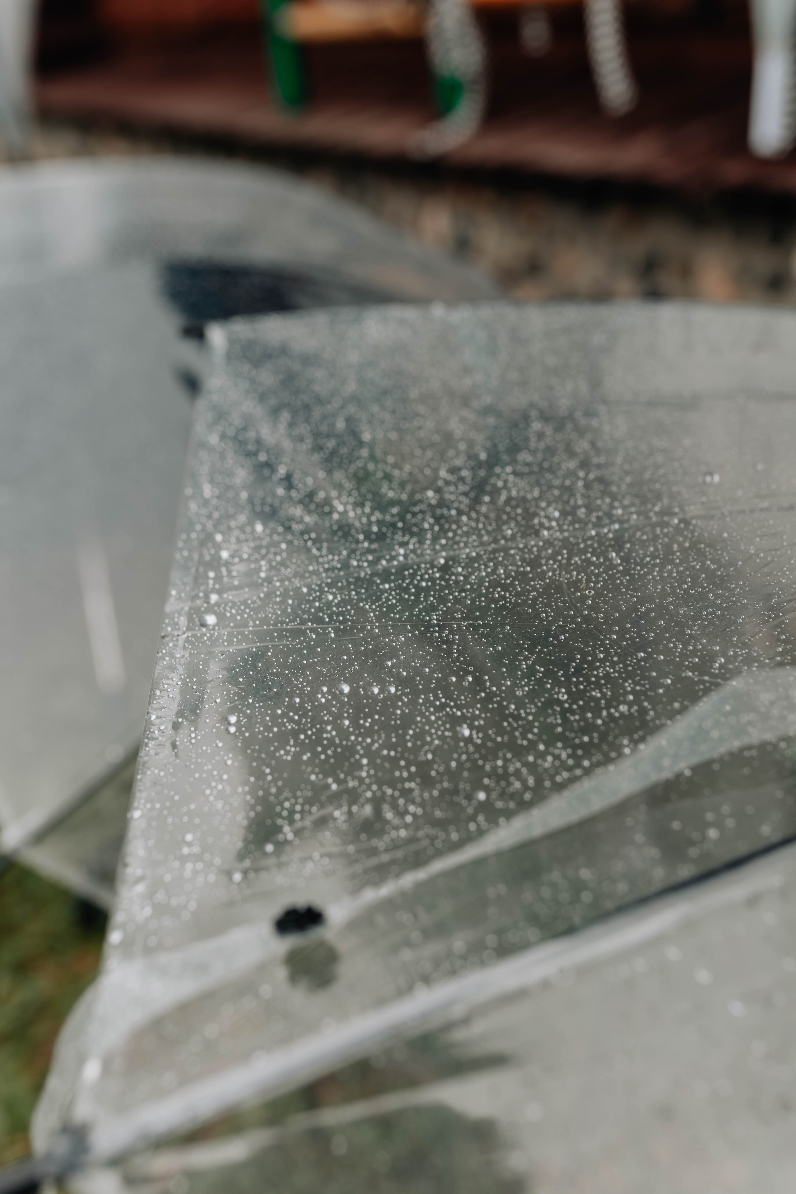 Максим и Настя. Евгения Арефьева — свадебный и портретный фотограф в Чите