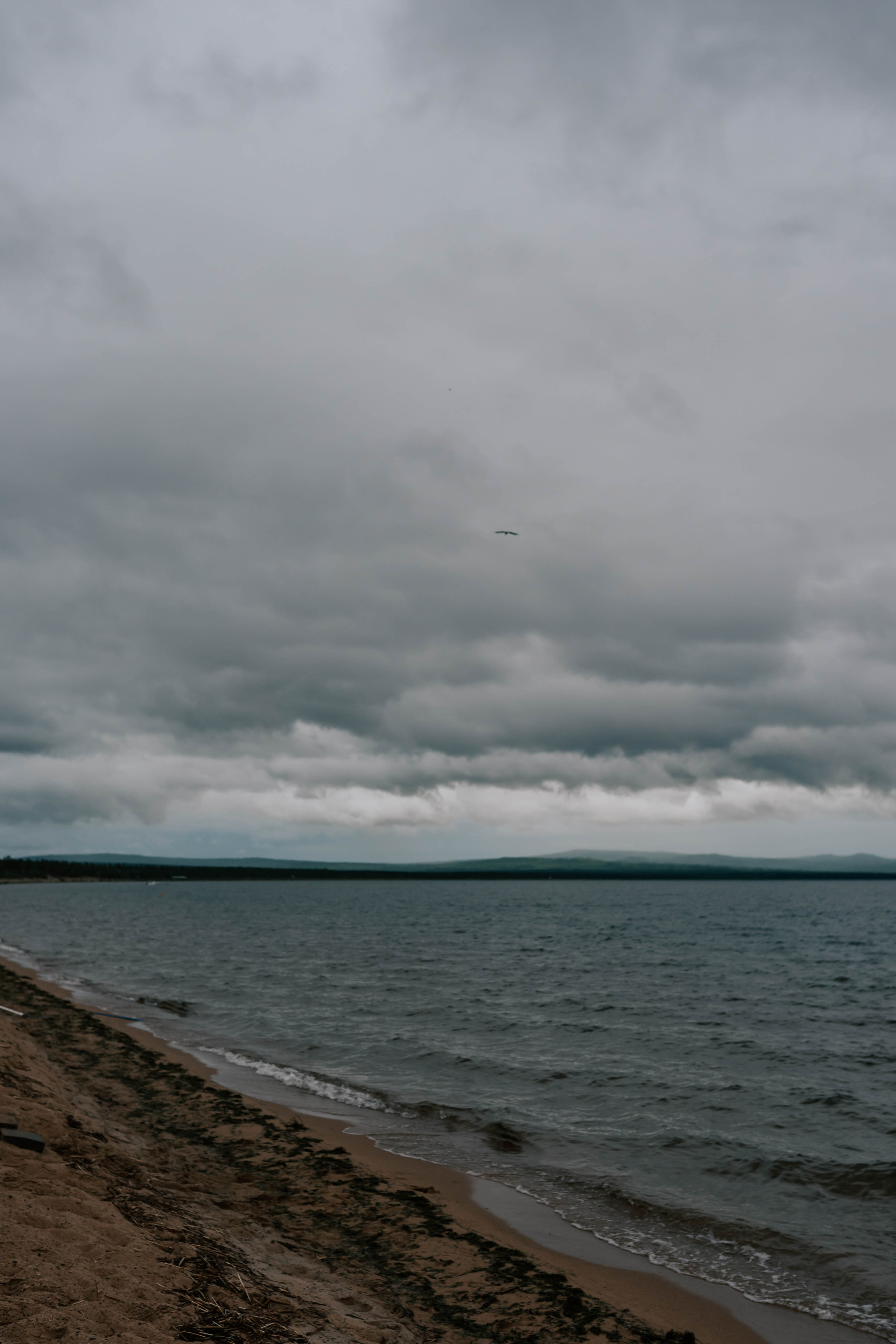 Максим и Настя. Евгения Арефьева — свадебный и портретный фотограф в Чите