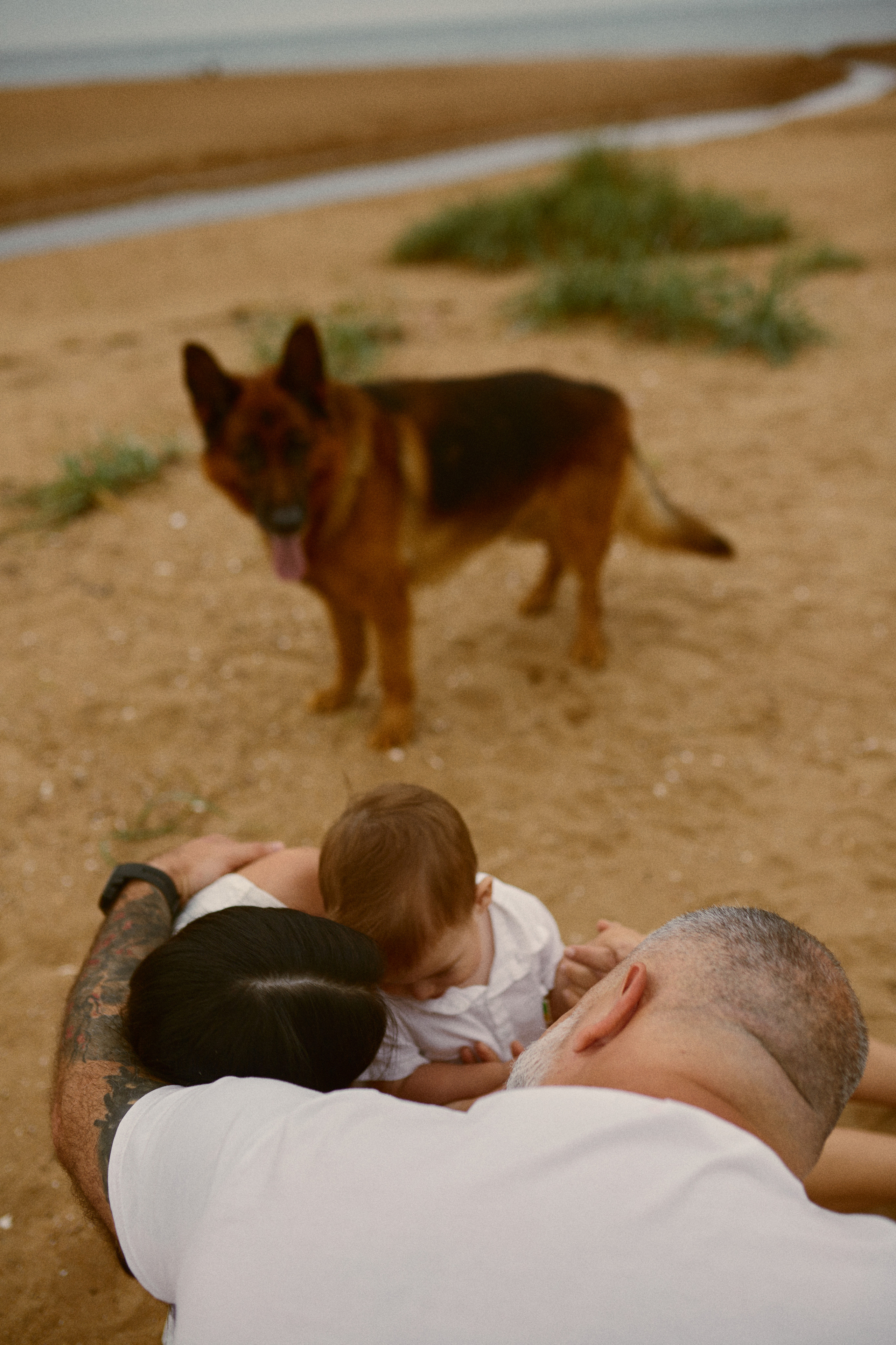 Чайки летели высоко. Фотограф Ионова Анастасия, г Владивосток