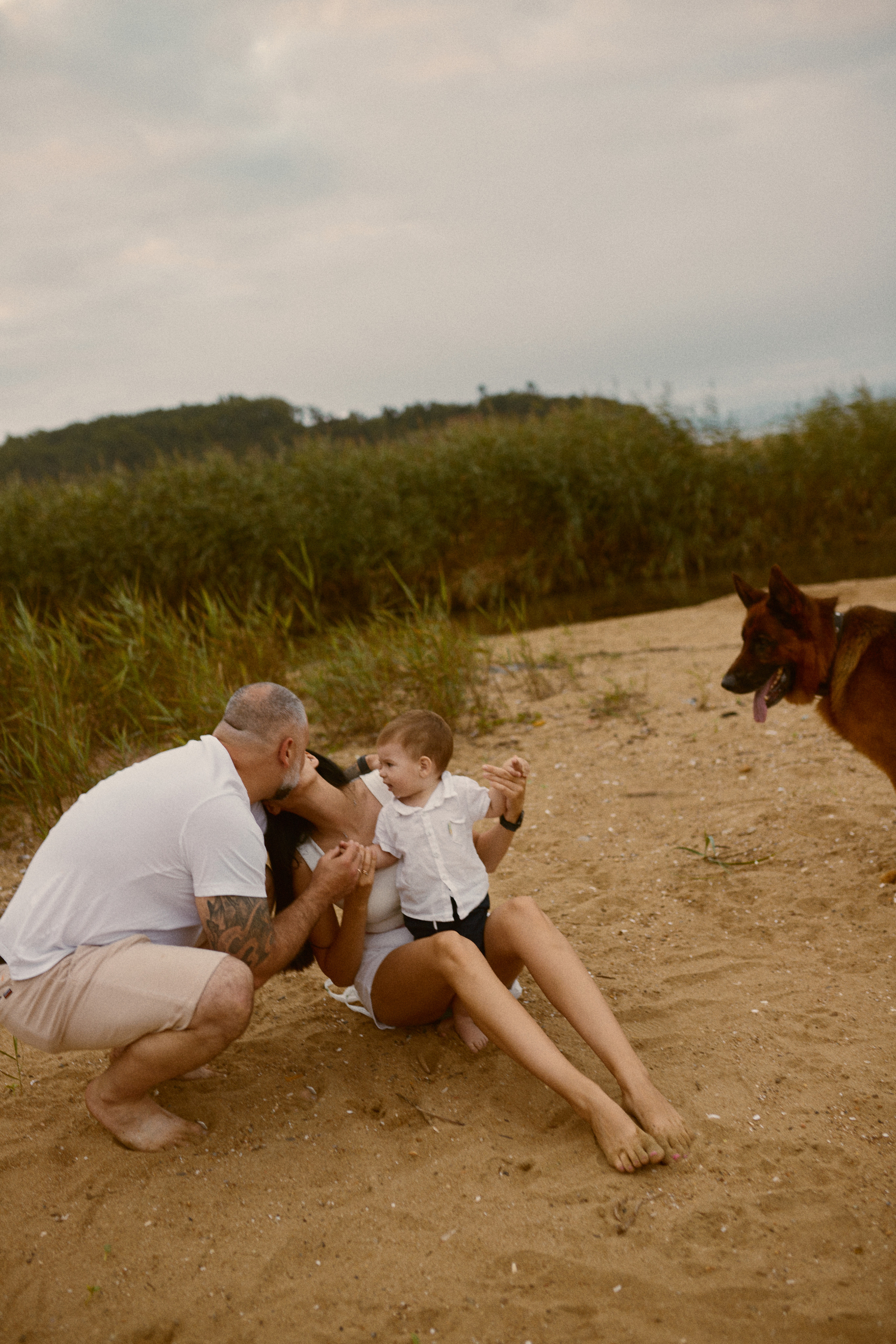 Чайки летели высоко. Фотограф Ионова Анастасия, г Владивосток