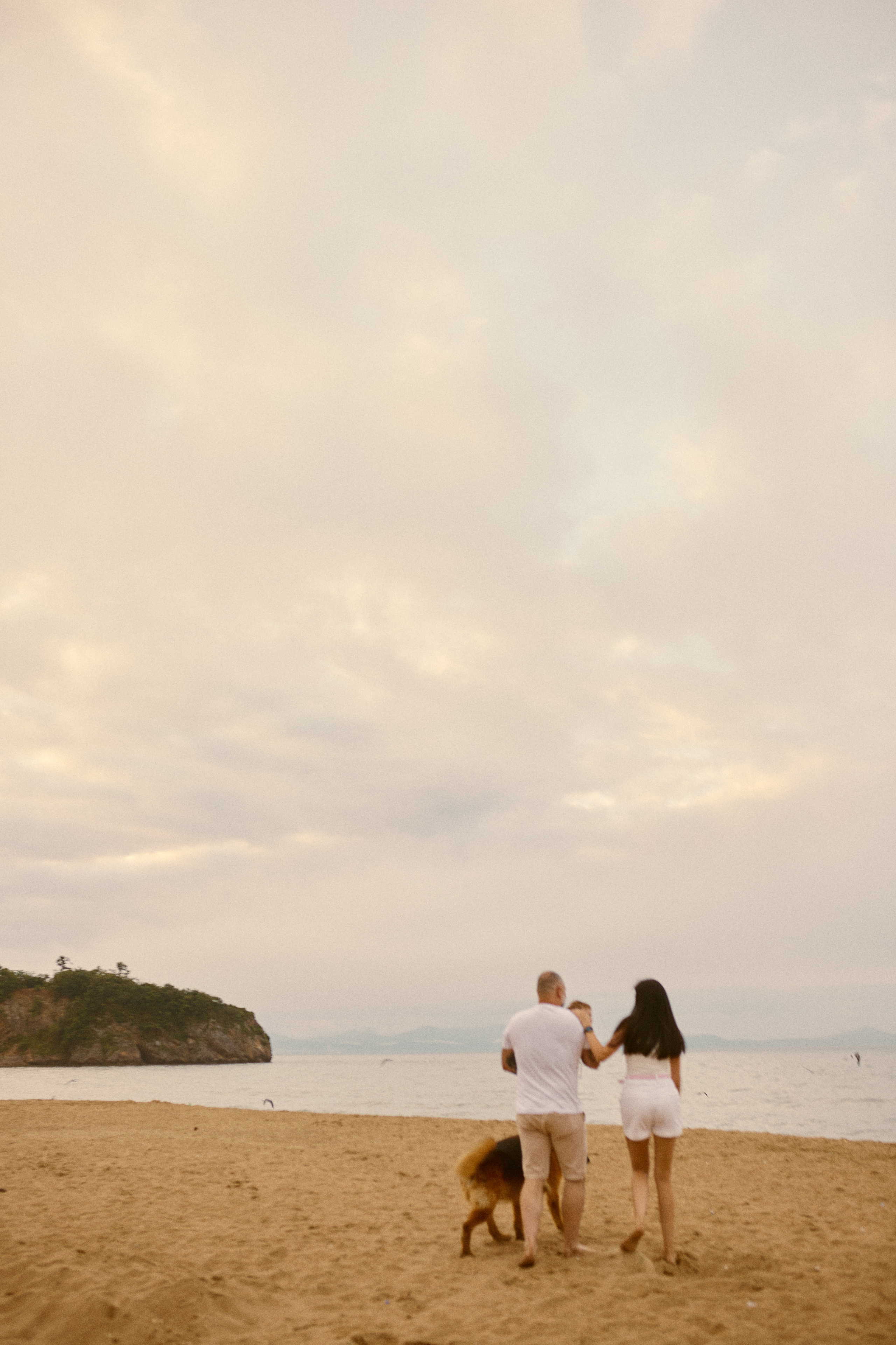 Чайки летели высоко. Фотограф Ионова Анастасия, г Владивосток