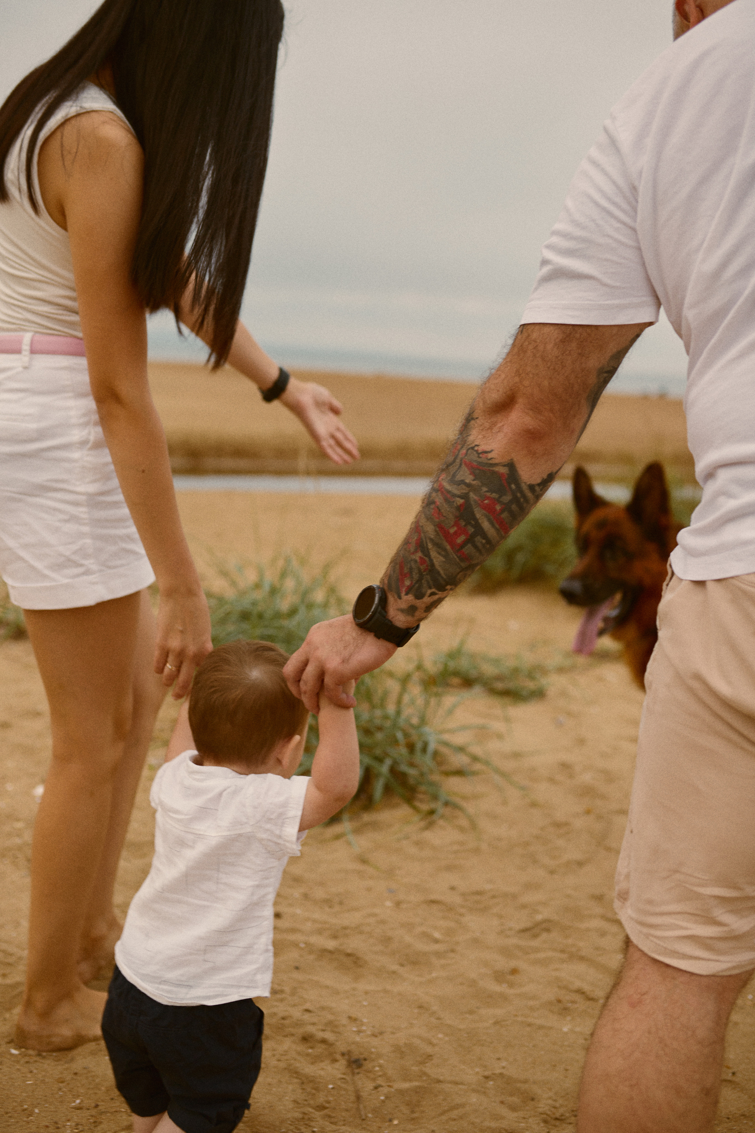 Чайки летели высоко. Фотограф Ионова Анастасия, г Владивосток