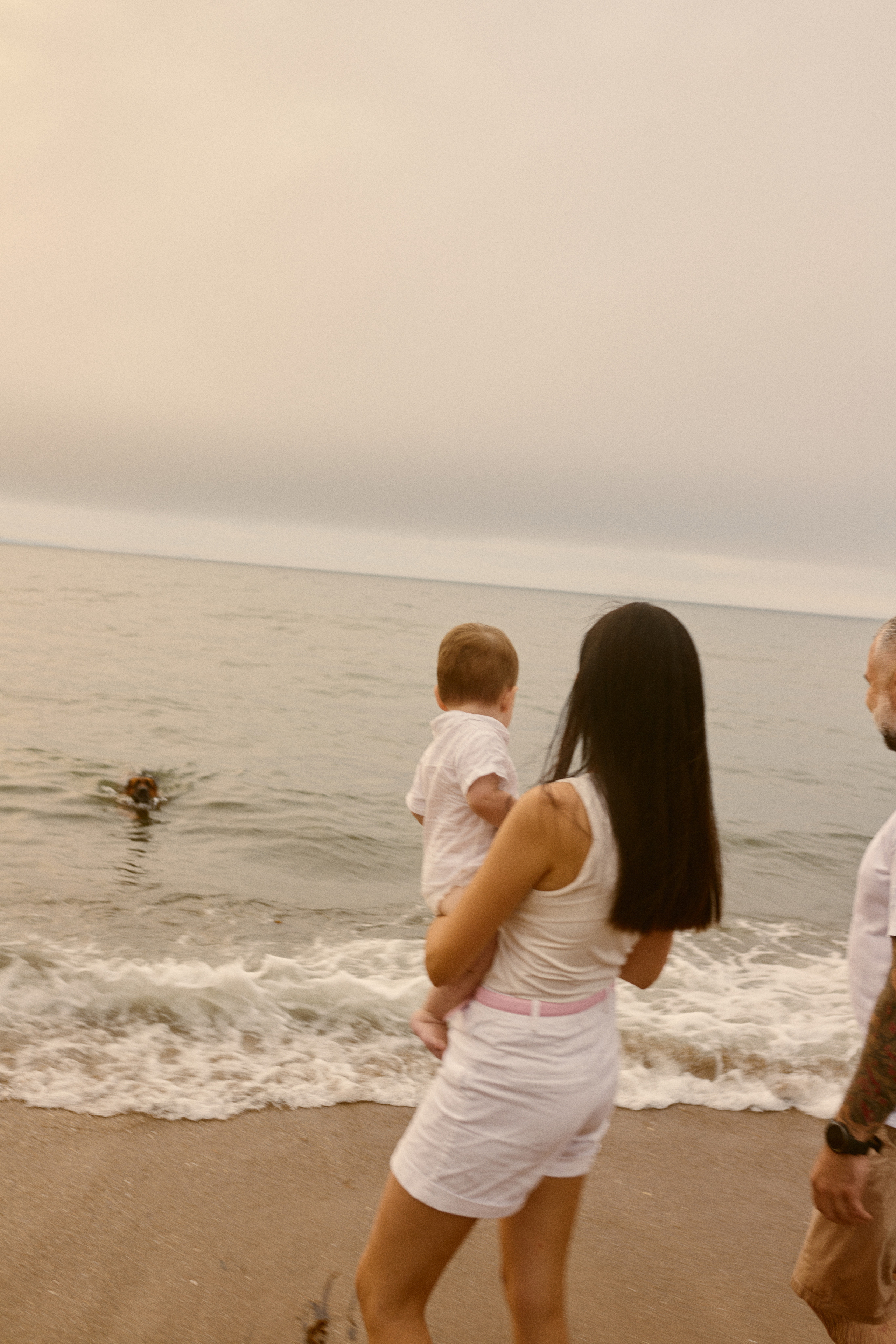 Чайки летели высоко. Фотограф Ионова Анастасия, г Владивосток