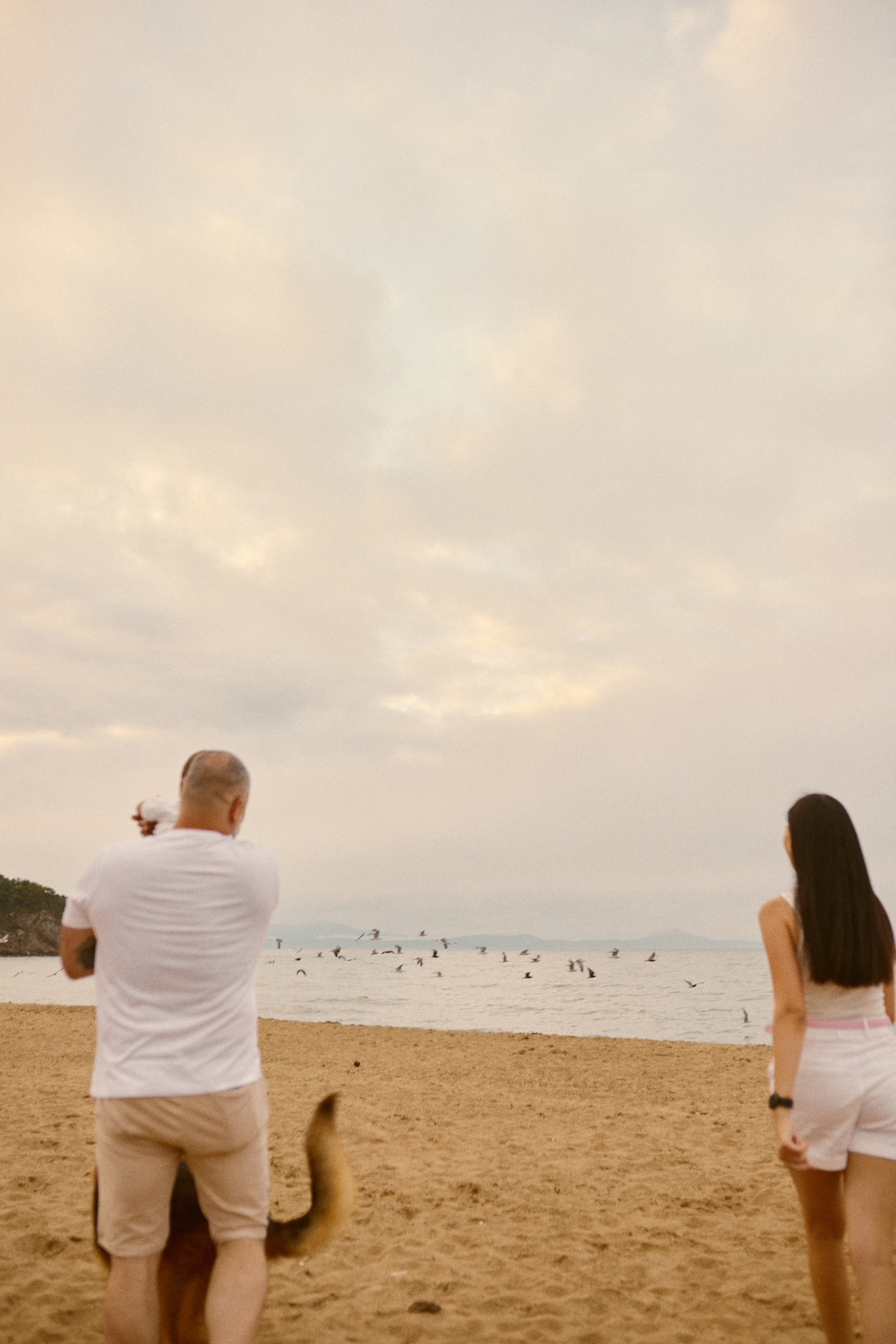 Чайки летели высоко. Фотограф Ионова Анастасия, г Владивосток