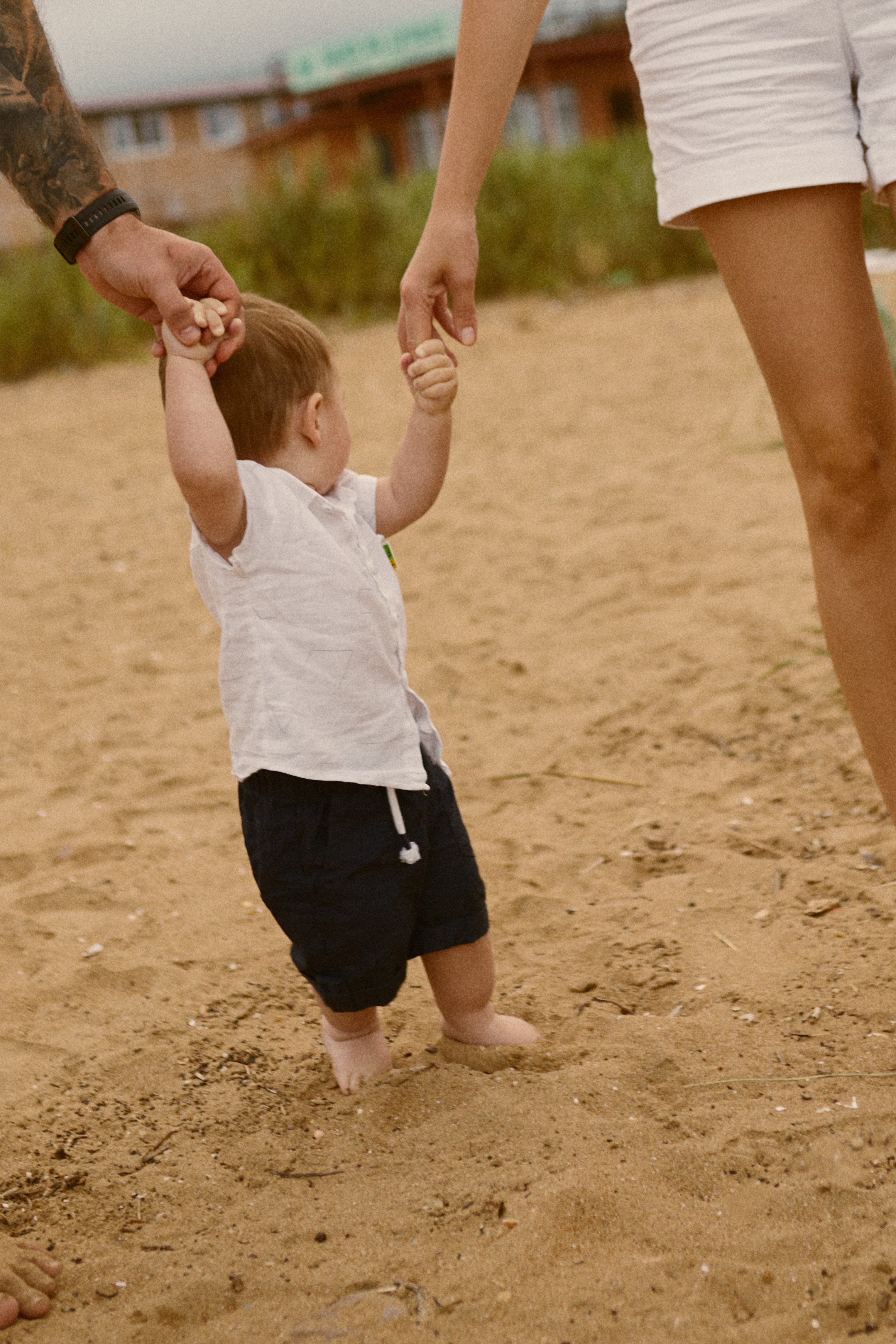Чайки летели высоко. Фотограф Ионова Анастасия, г Владивосток