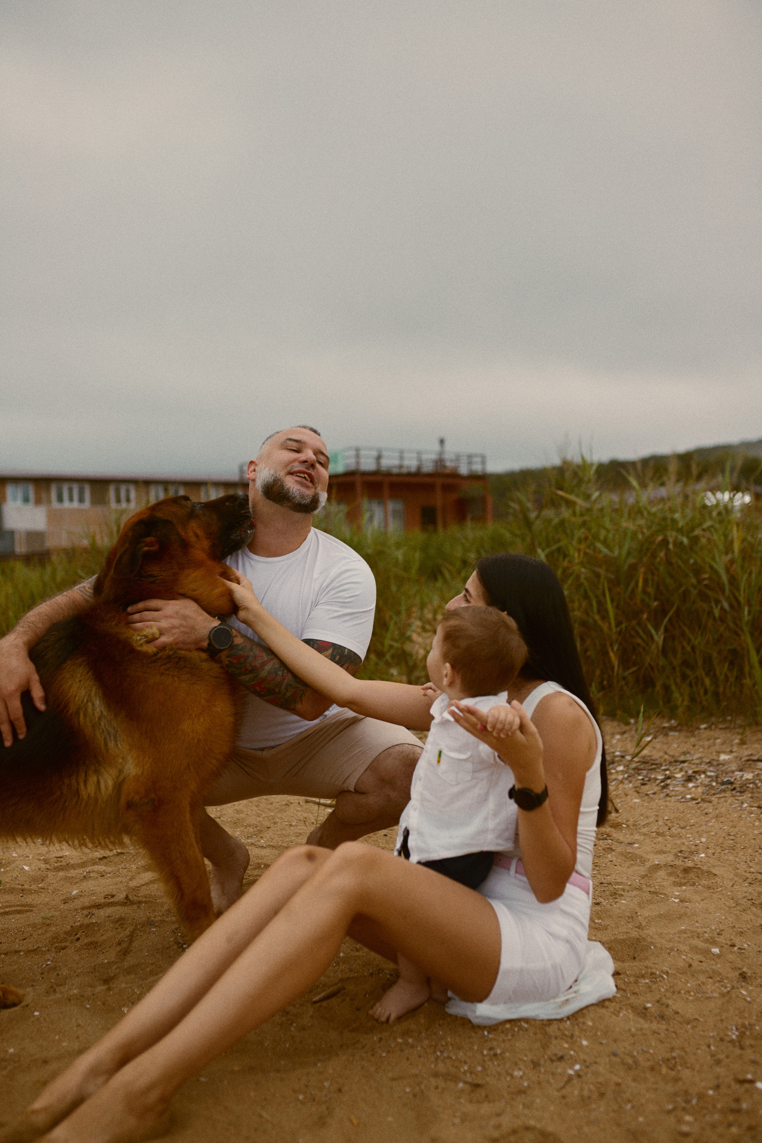 Чайки летели высоко. Фотограф Ионова Анастасия, г Владивосток