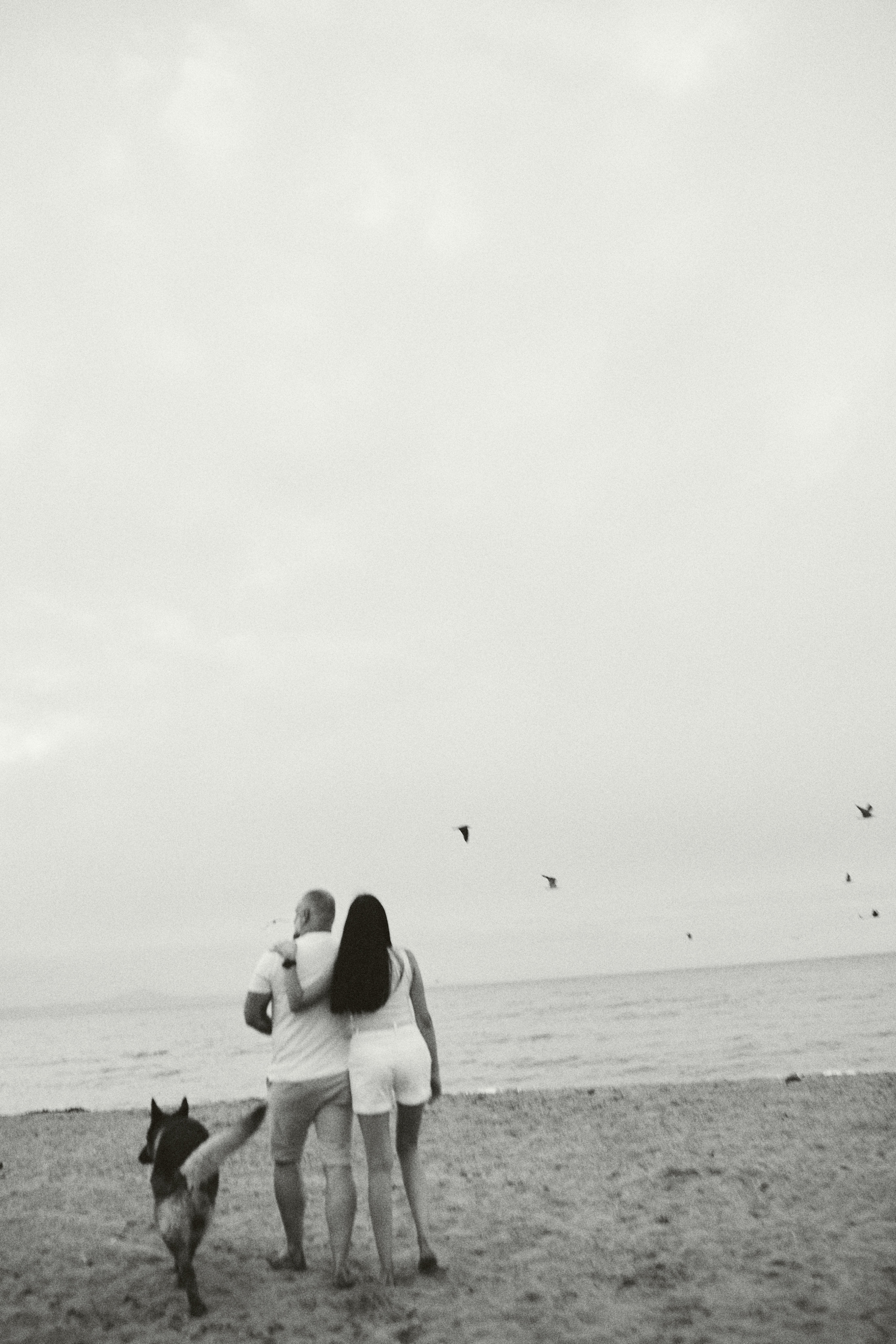 Чайки летели высоко. Фотограф Ионова Анастасия, г Владивосток