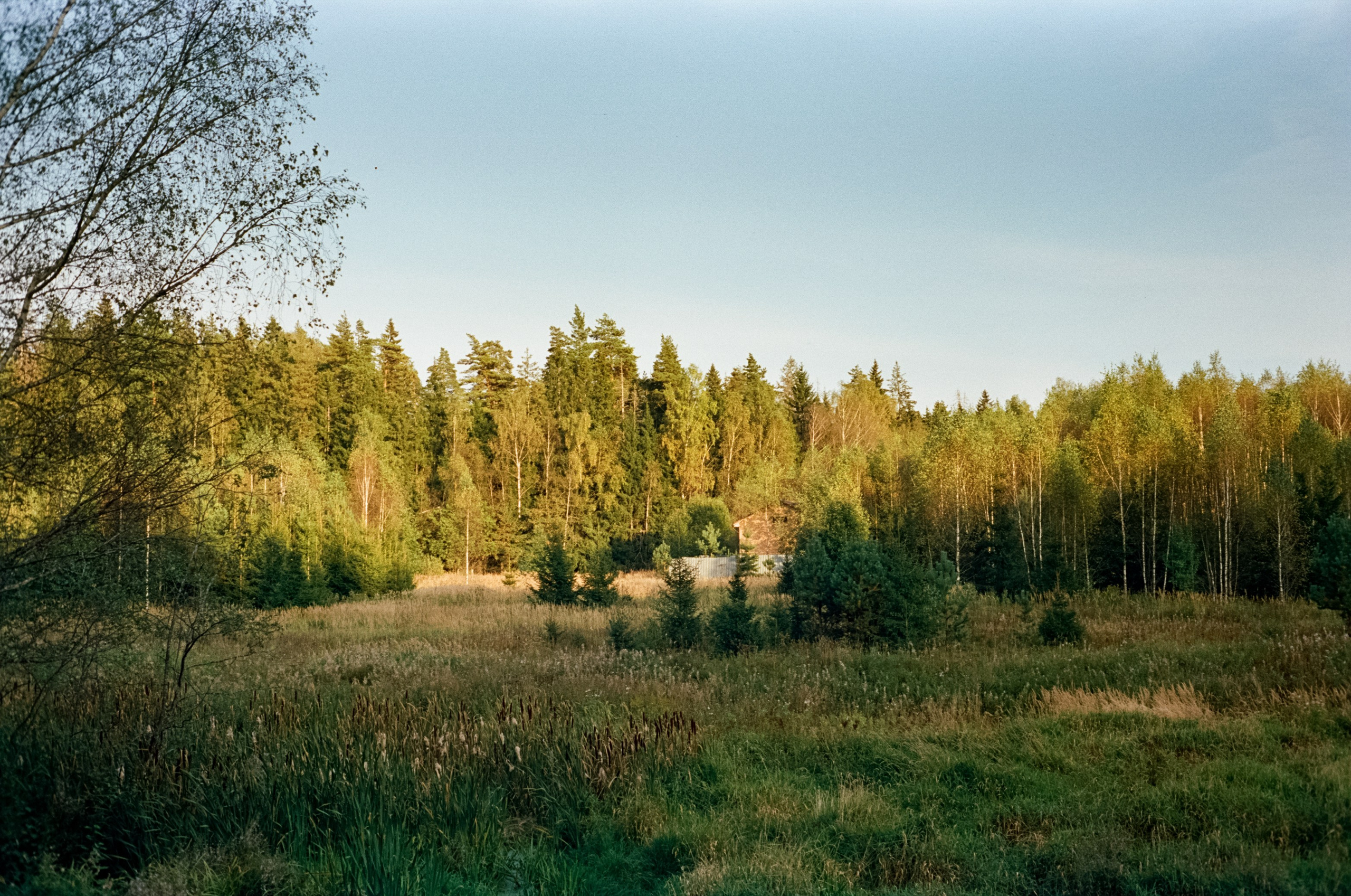 Minolta Hi-Matic 7SII примеры фотографий