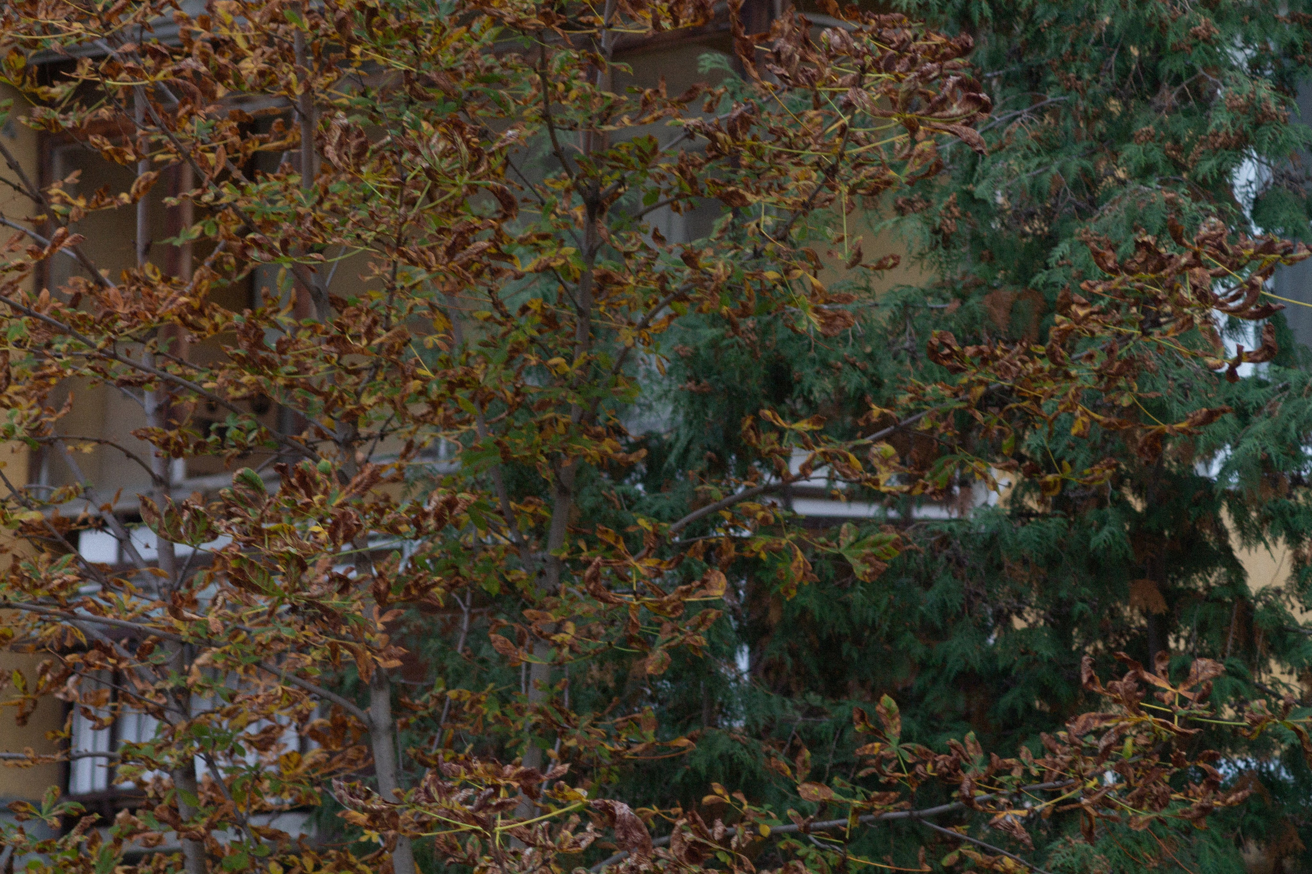 Автозаводский закат. Фотограф Мурманск | Нижний Новгород • Анна Хижняк