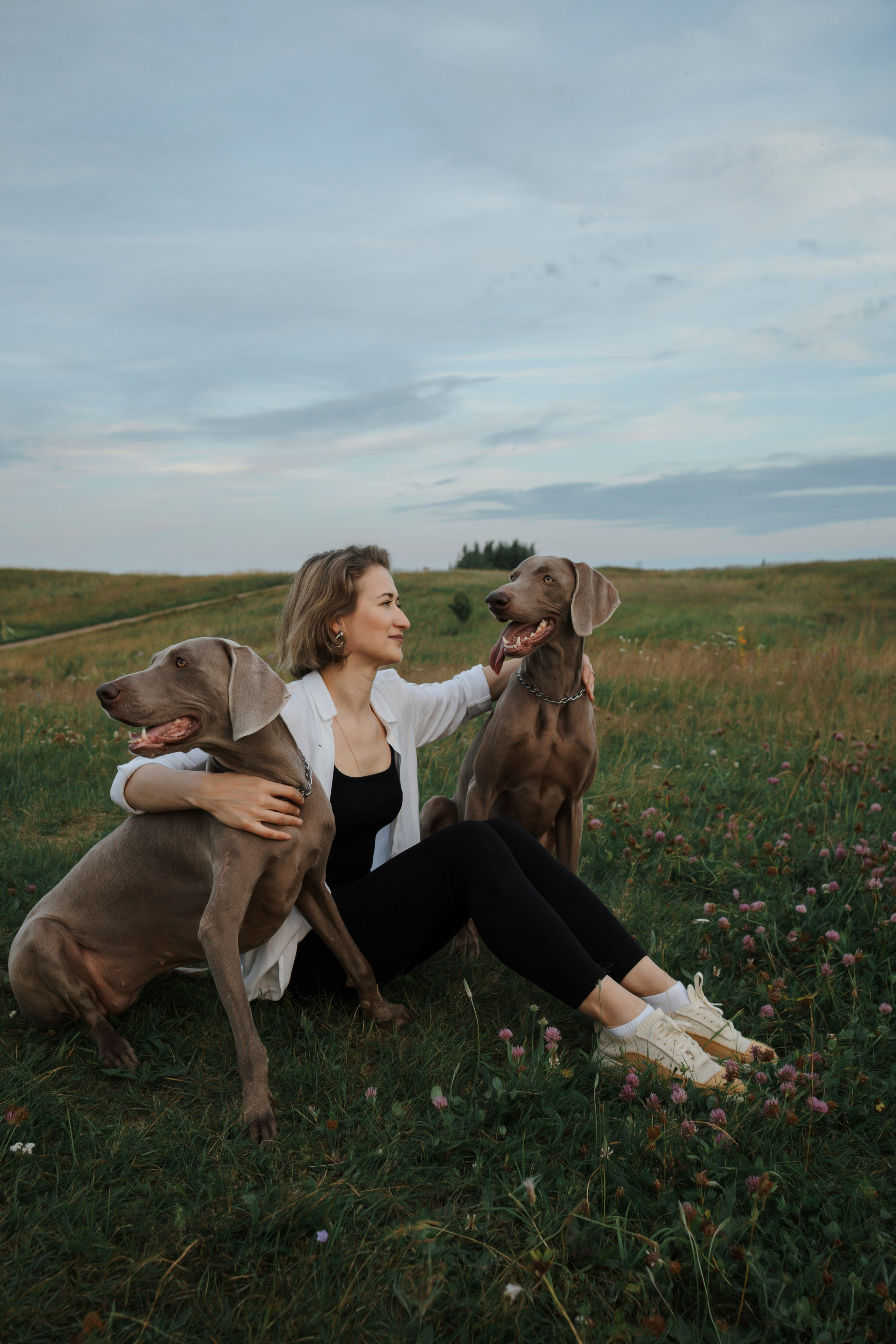 Маргарита и веймаранеры. Фотограф-анималист в Санкт-Петеребурге Титова Алиса