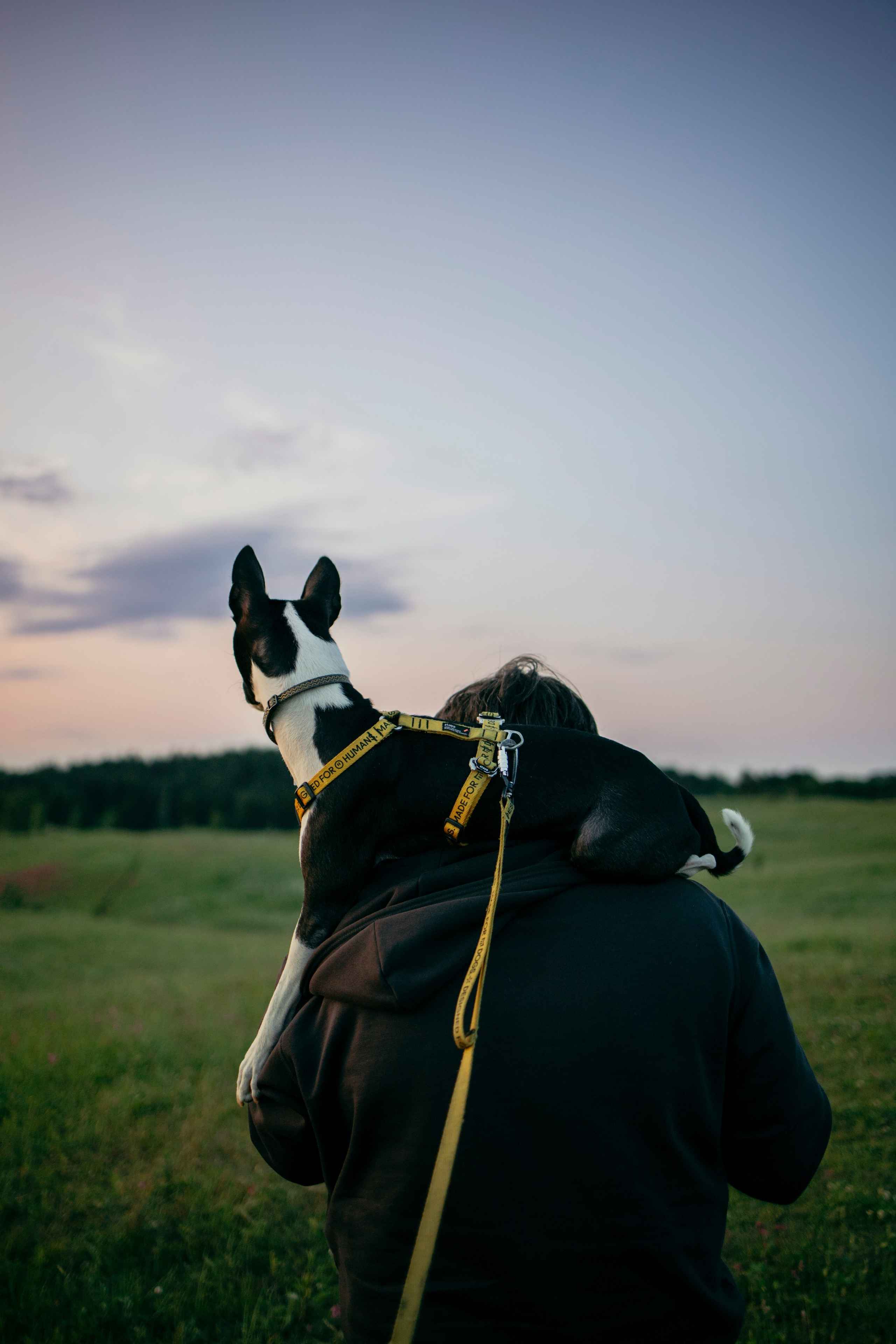 Итачи и его семья 🐾. Фотограф-анималист в Санкт-Петеребурге Титова Алиса