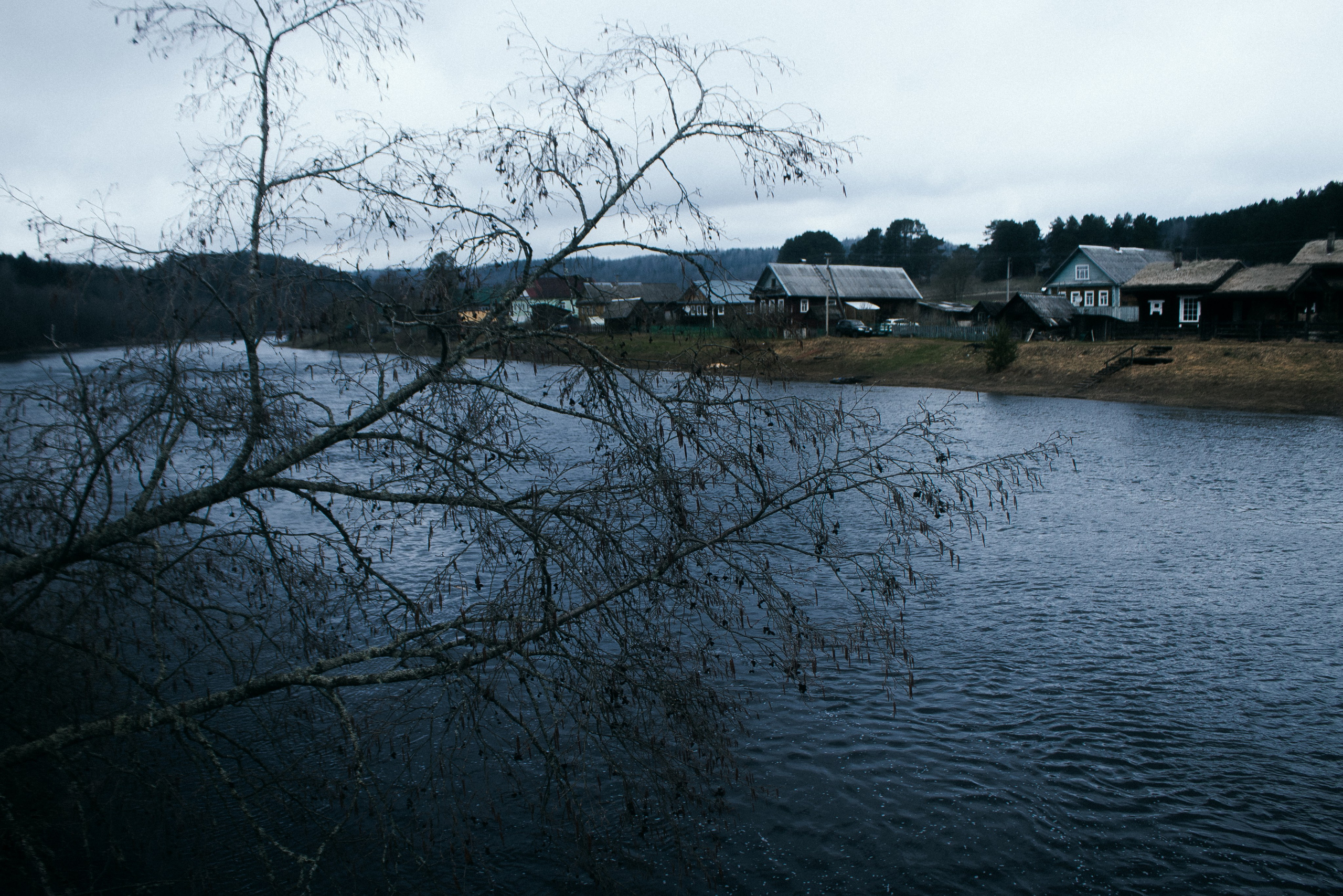 Вепсский ковчег. Полина Щапова БМК235 Медиаком — НИУ ВШЭ