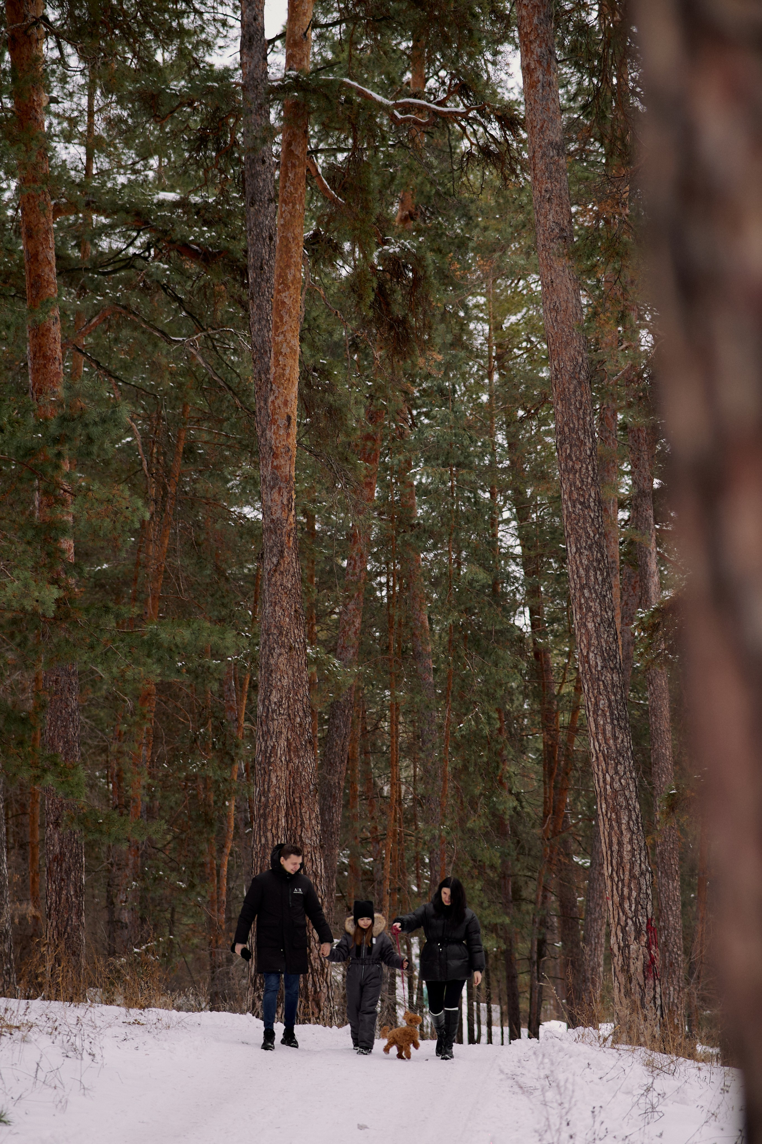 Дима, Лиза и Милана. Семейный и свадебный lifestyle-фотограф в Москве Мария Петрова