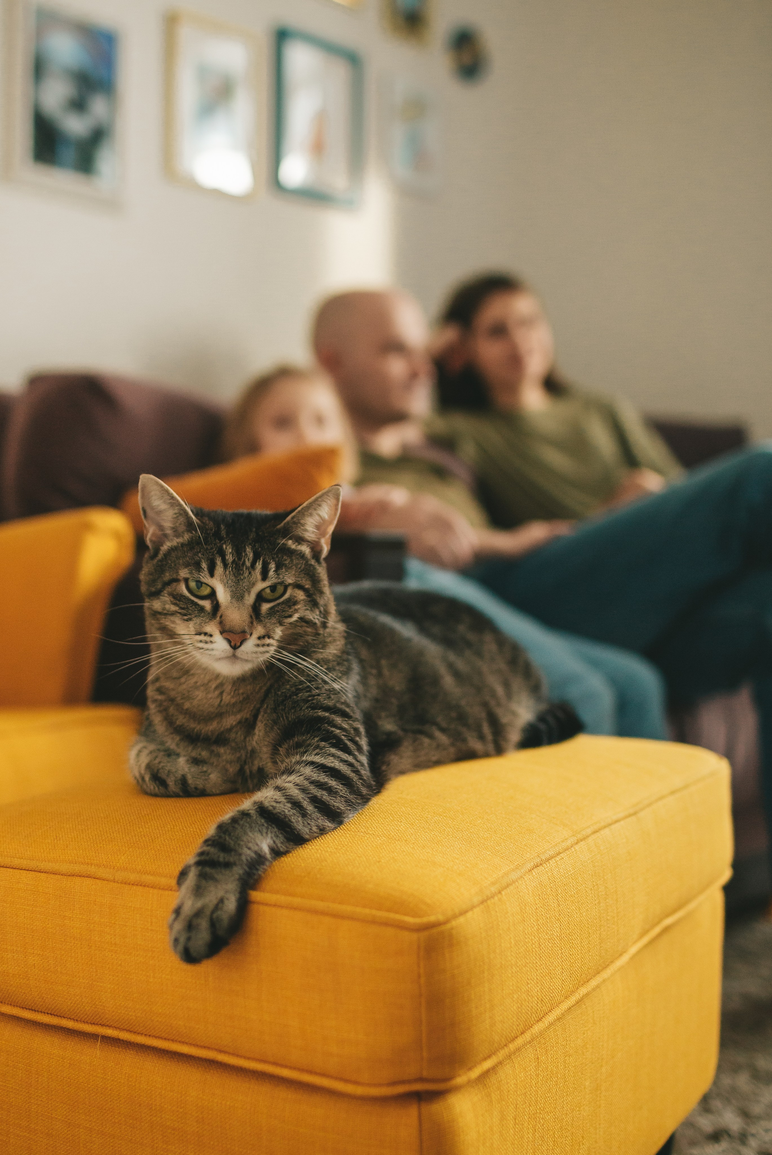 Семья Пети и Алёны (домашняя фотосессия). Семейный и детский фотограф и видеограф в Москве, Дрокина Наталья