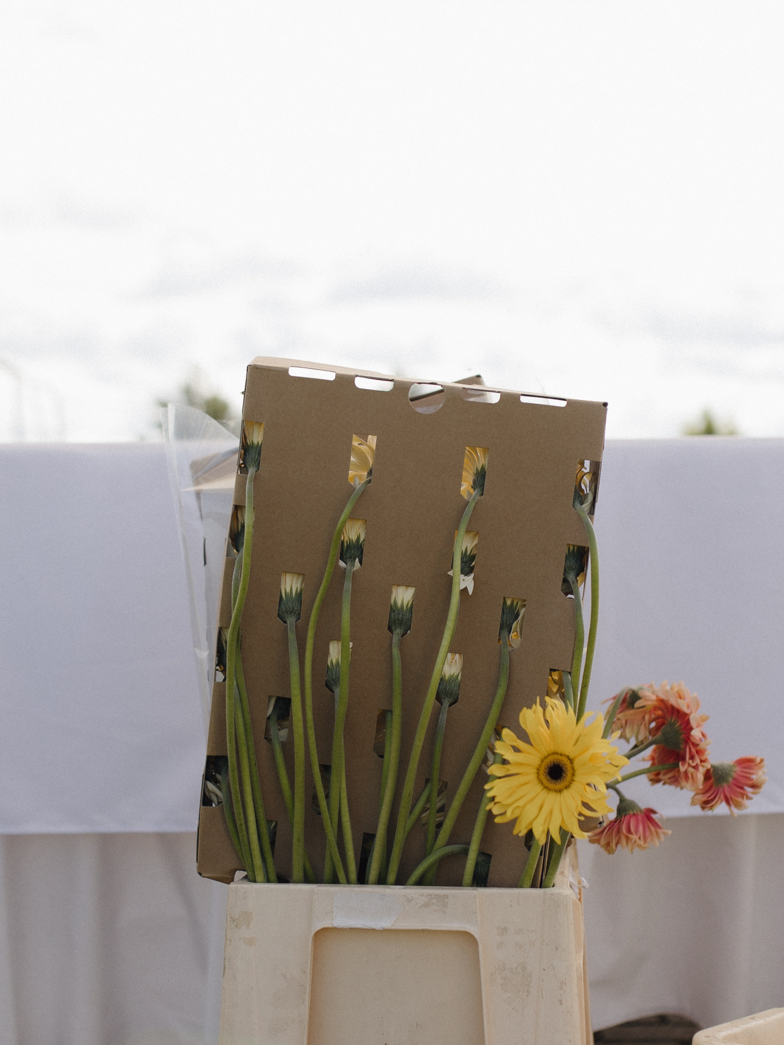 Бэкстейдж для агентства «Art de vivre». Свадебный и семейный фотограф в Калининграде Ольга Мешечкова