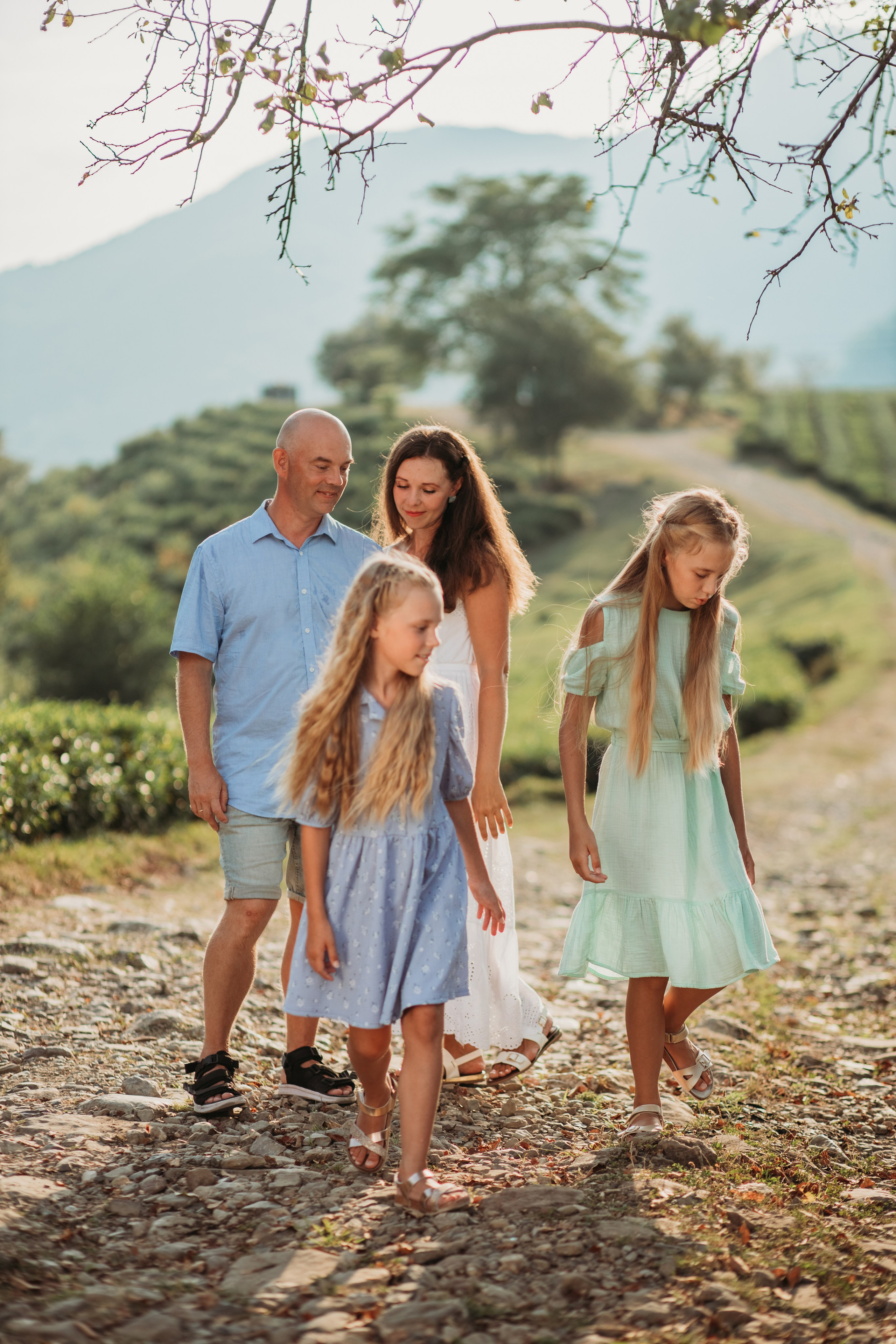 Чайные плантации мацеста. Фотограф Сочи Татьяна Зорина