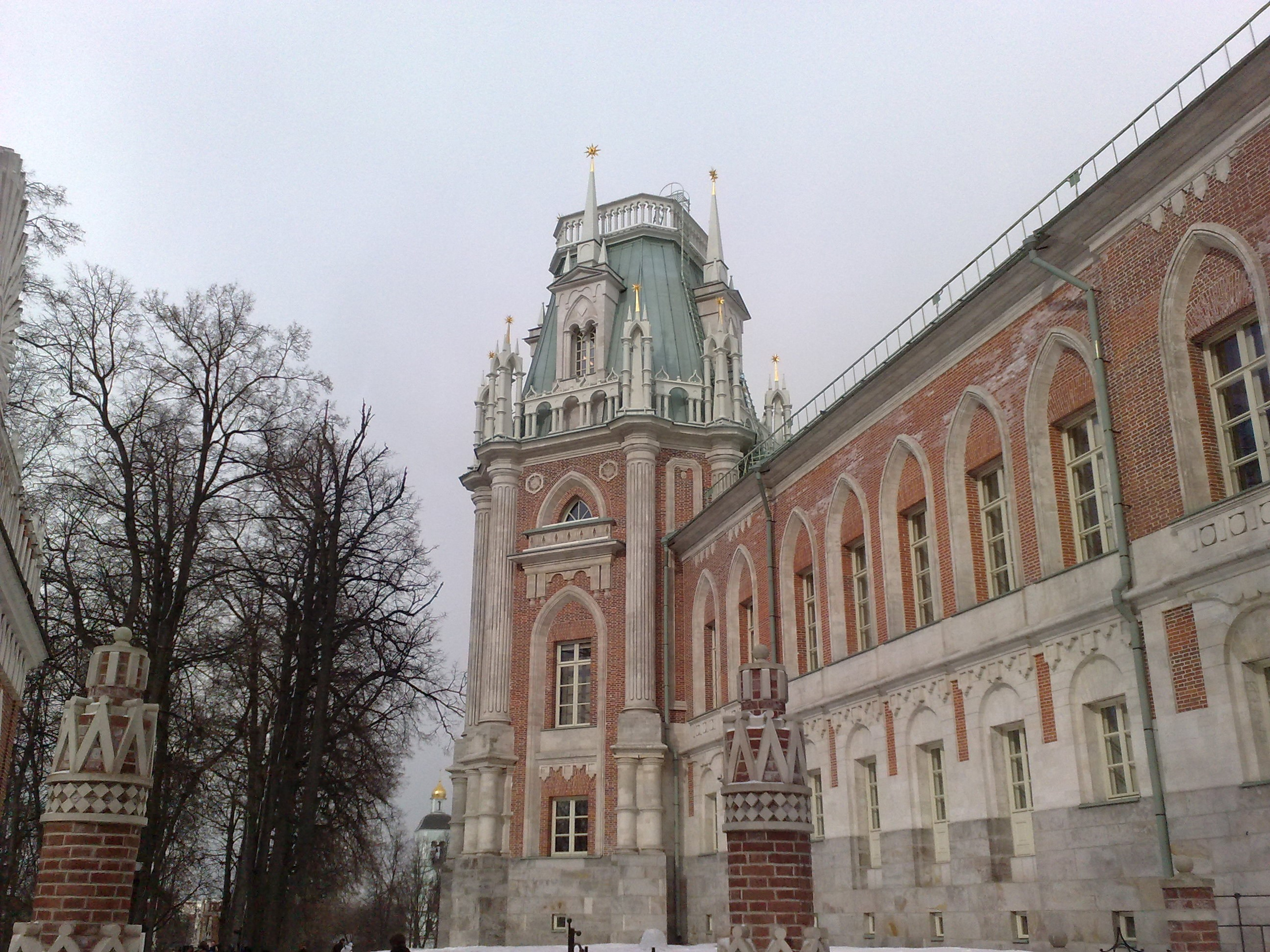 Царицино музей-усадьба. Питомник китайских хохлатых собак Poale Ell: купить щенка в питомнике