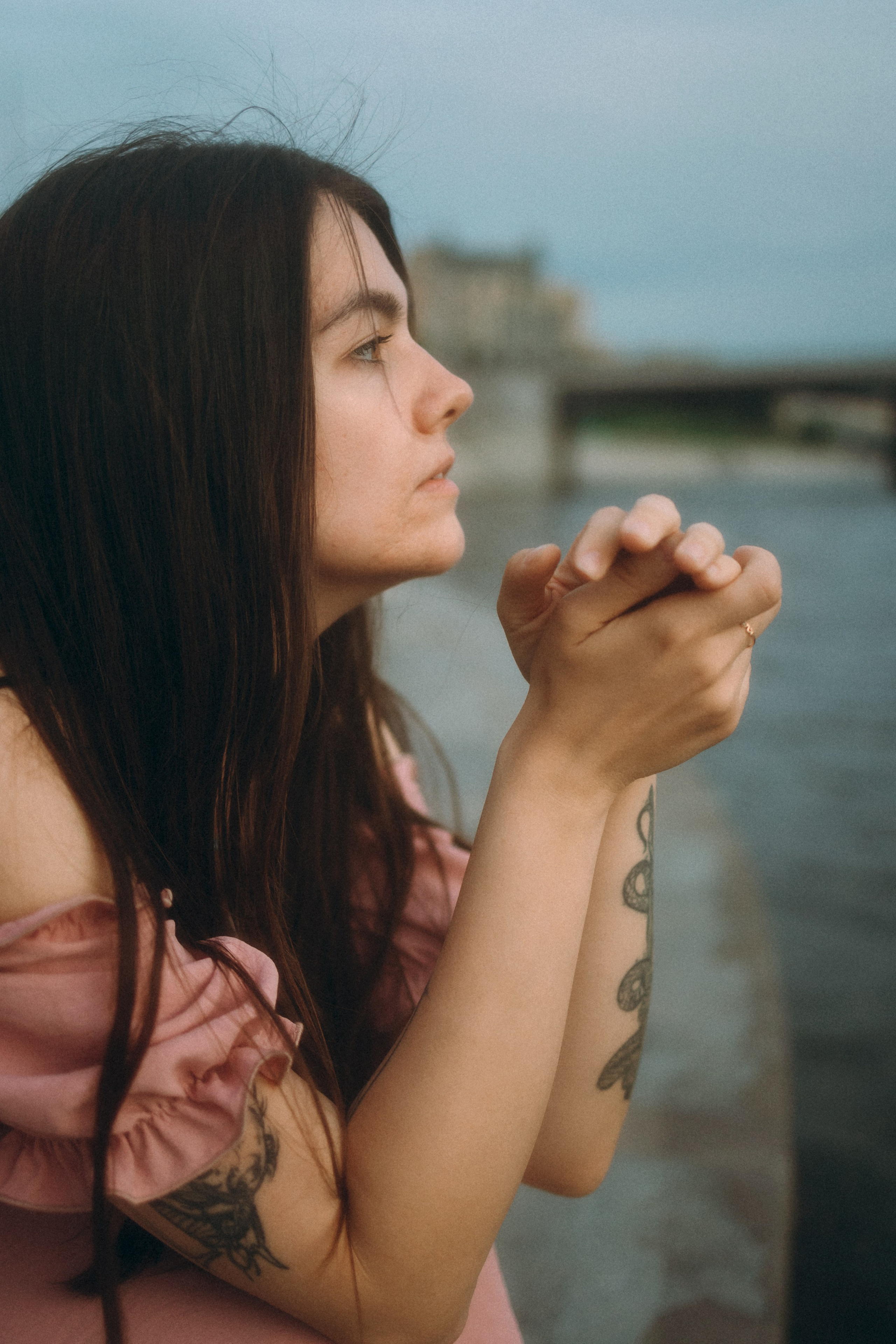 Глаша, Айрон, Ксюша и Оля. Фотограф анималист Анастасия Пикей