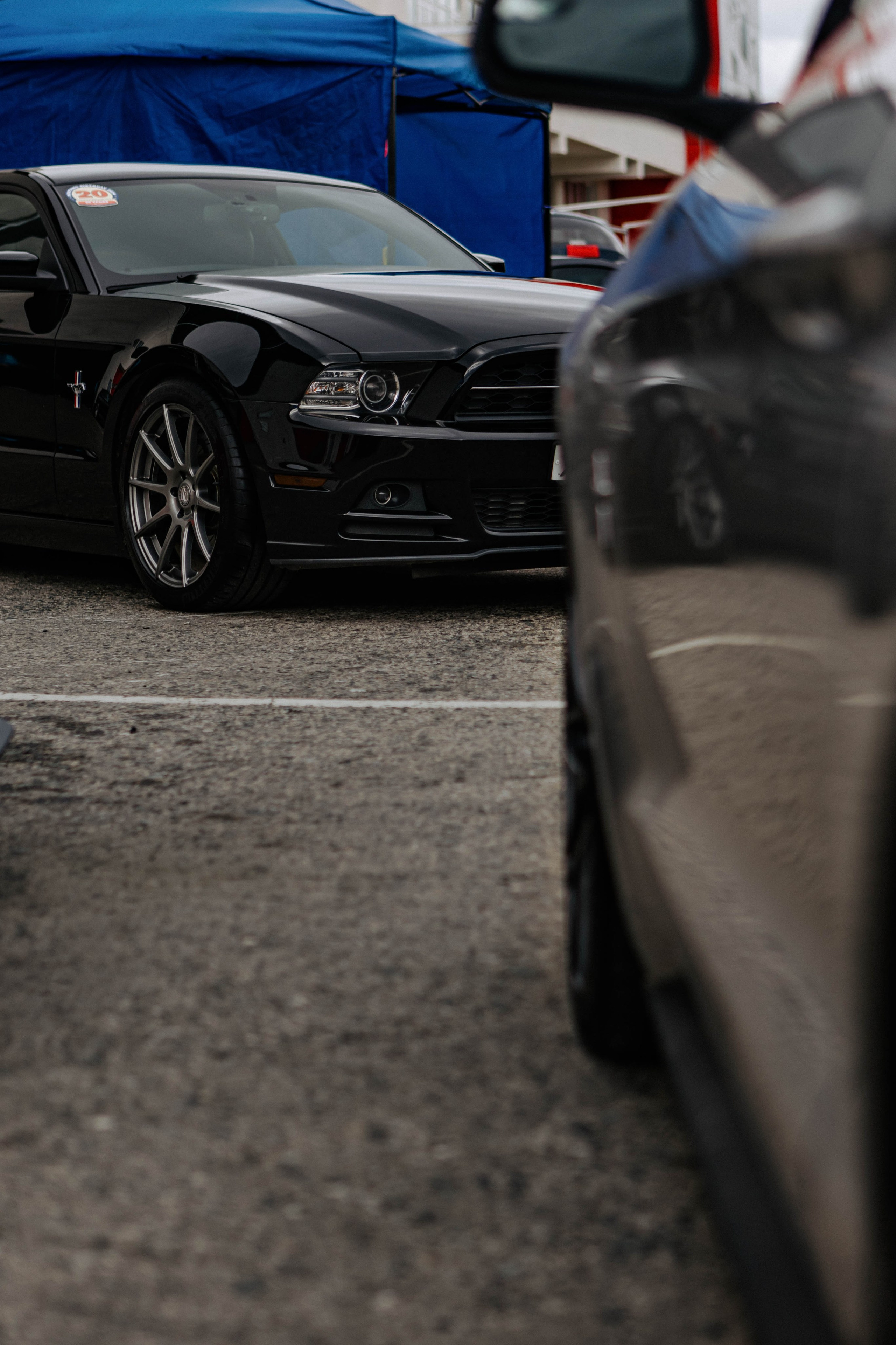 Открытие сезона 2024. Фотограф Александра Кузнецова