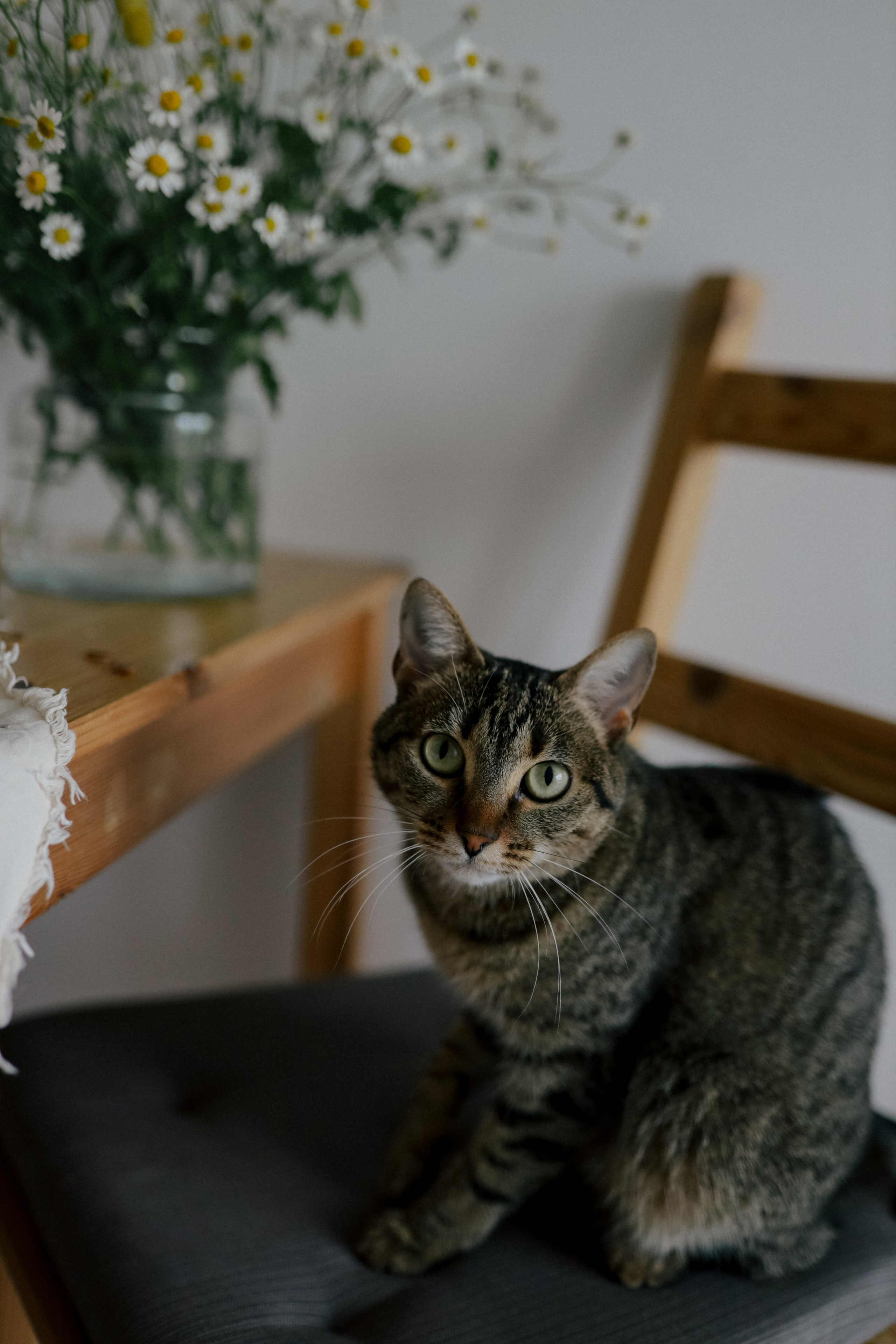 Створювати серцем. Свадебный и семейный фотограф в Варшаве