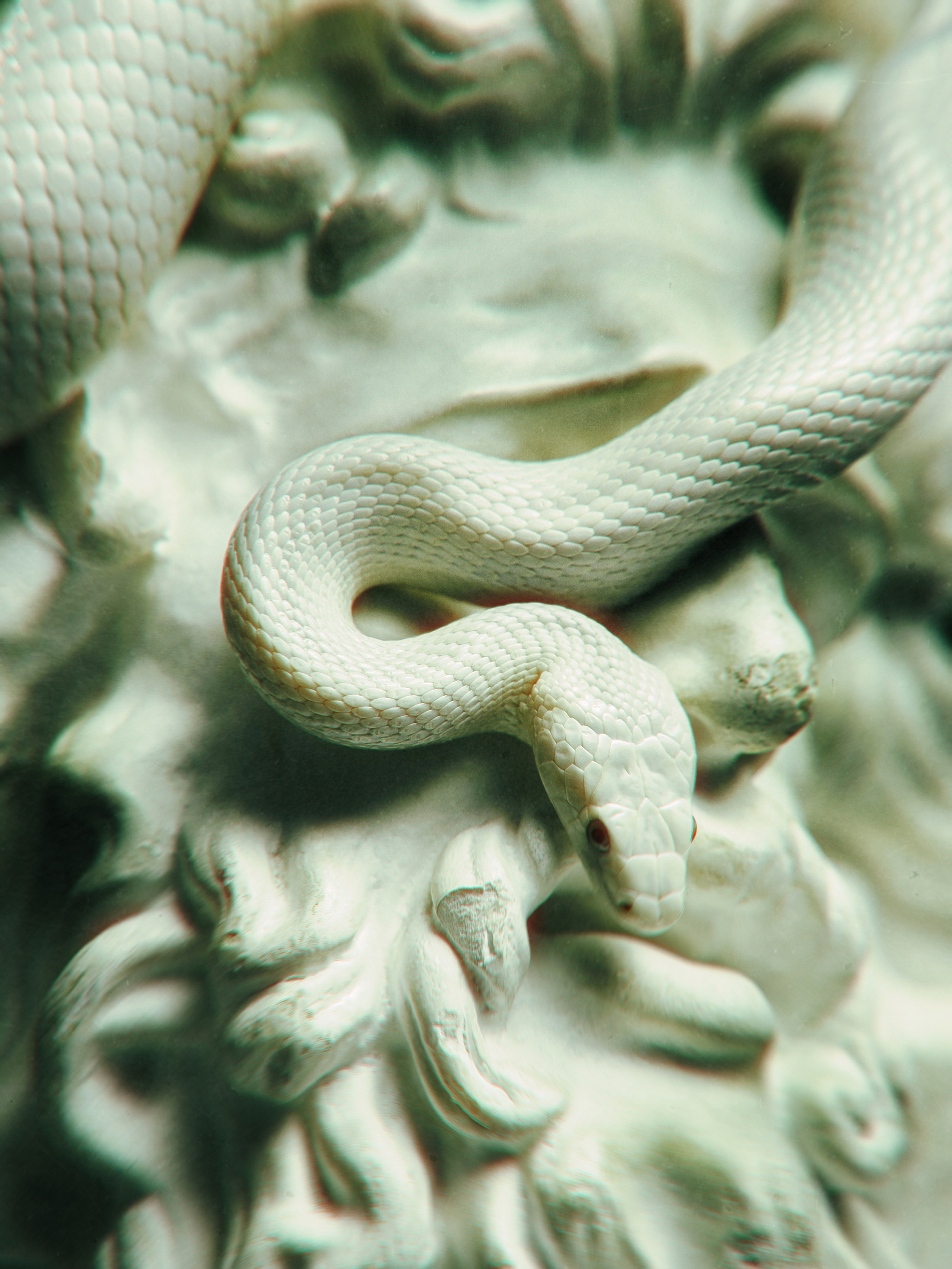 Портрет Медузы Горгоны. Коммерческий фотограф в Москве — Антон Ермаков