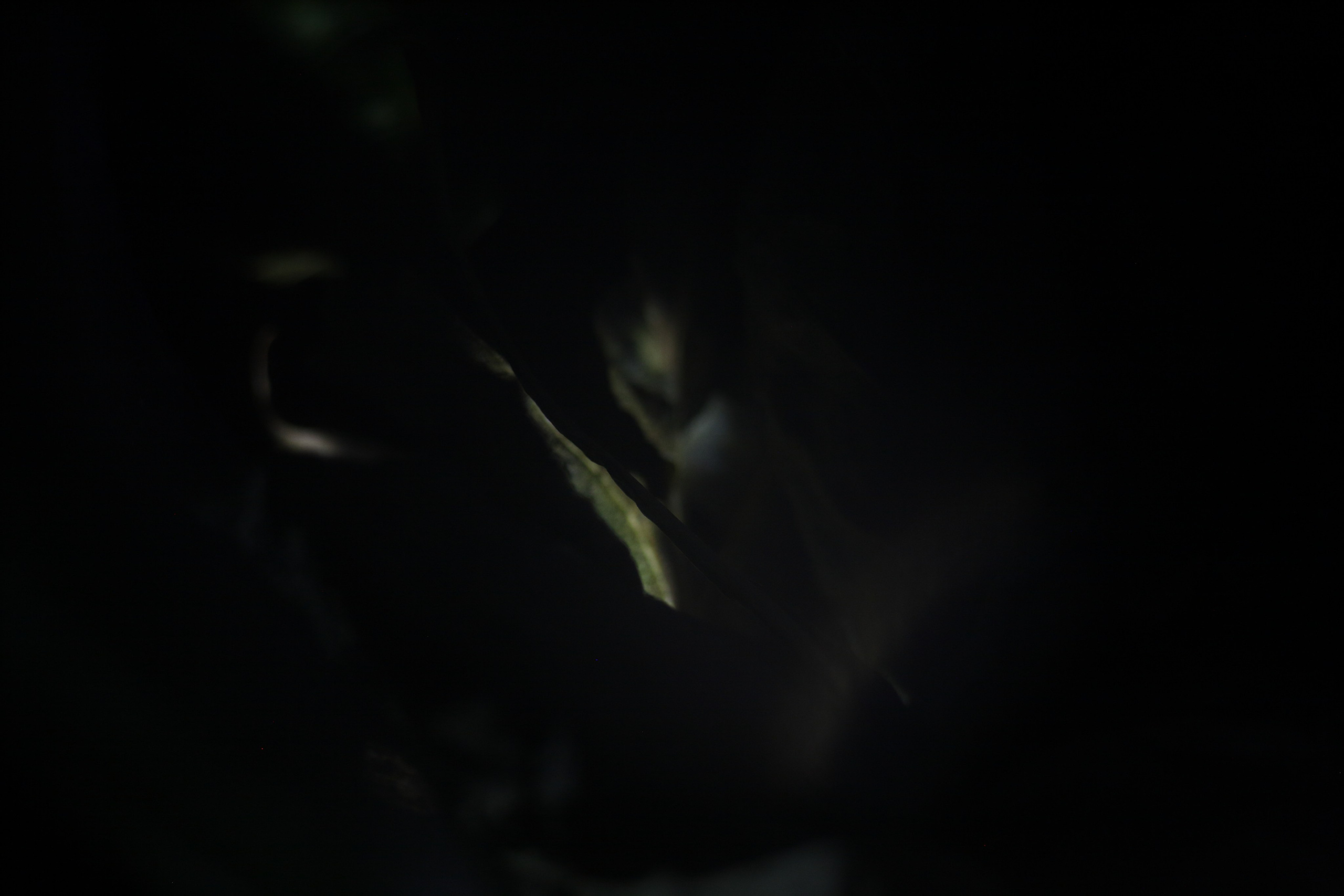 Старое природное, отбирала Katamount (Катерина Горохова). Главная