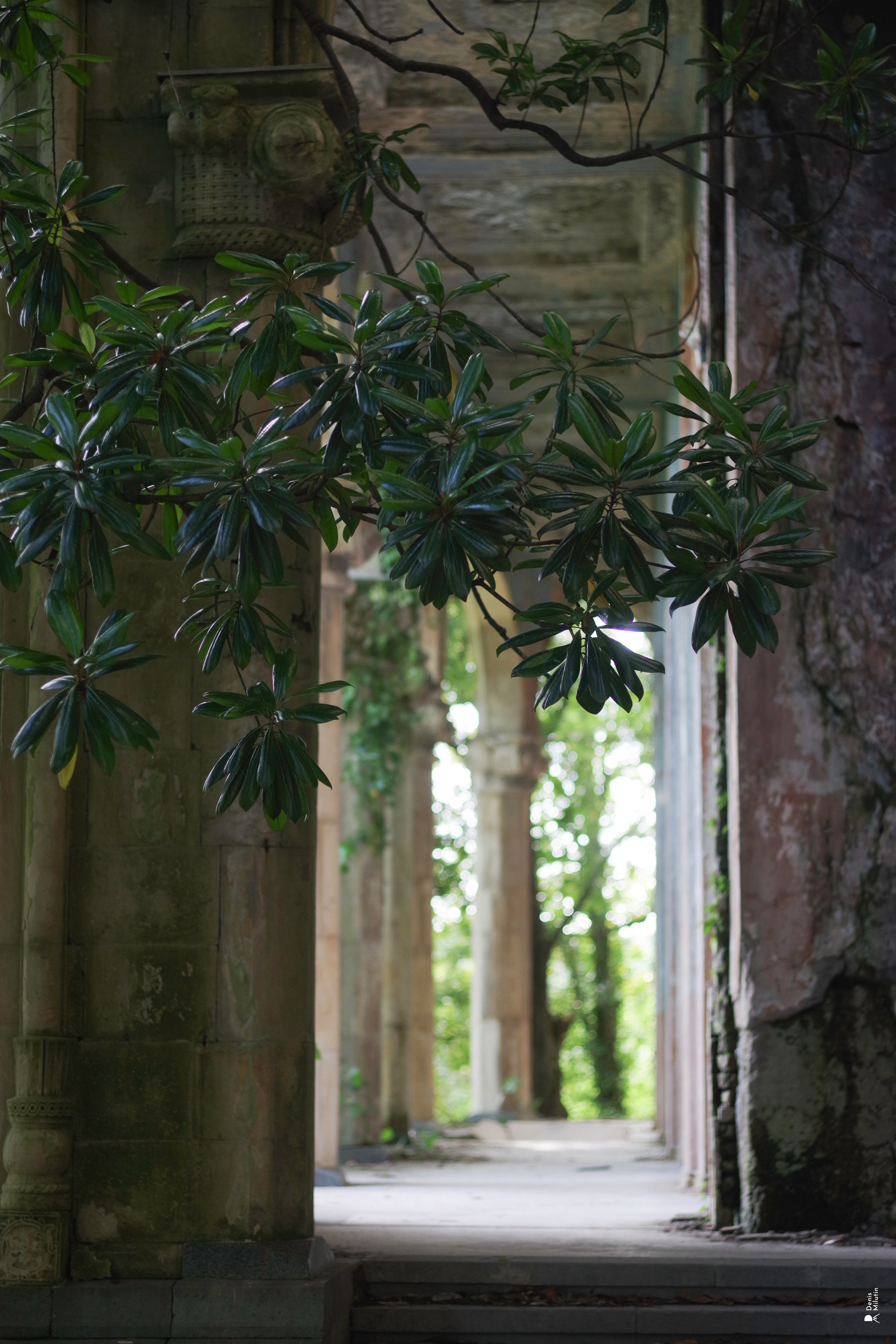 В отпуске с Артёмом. Портретный фотограф Денис Милютин