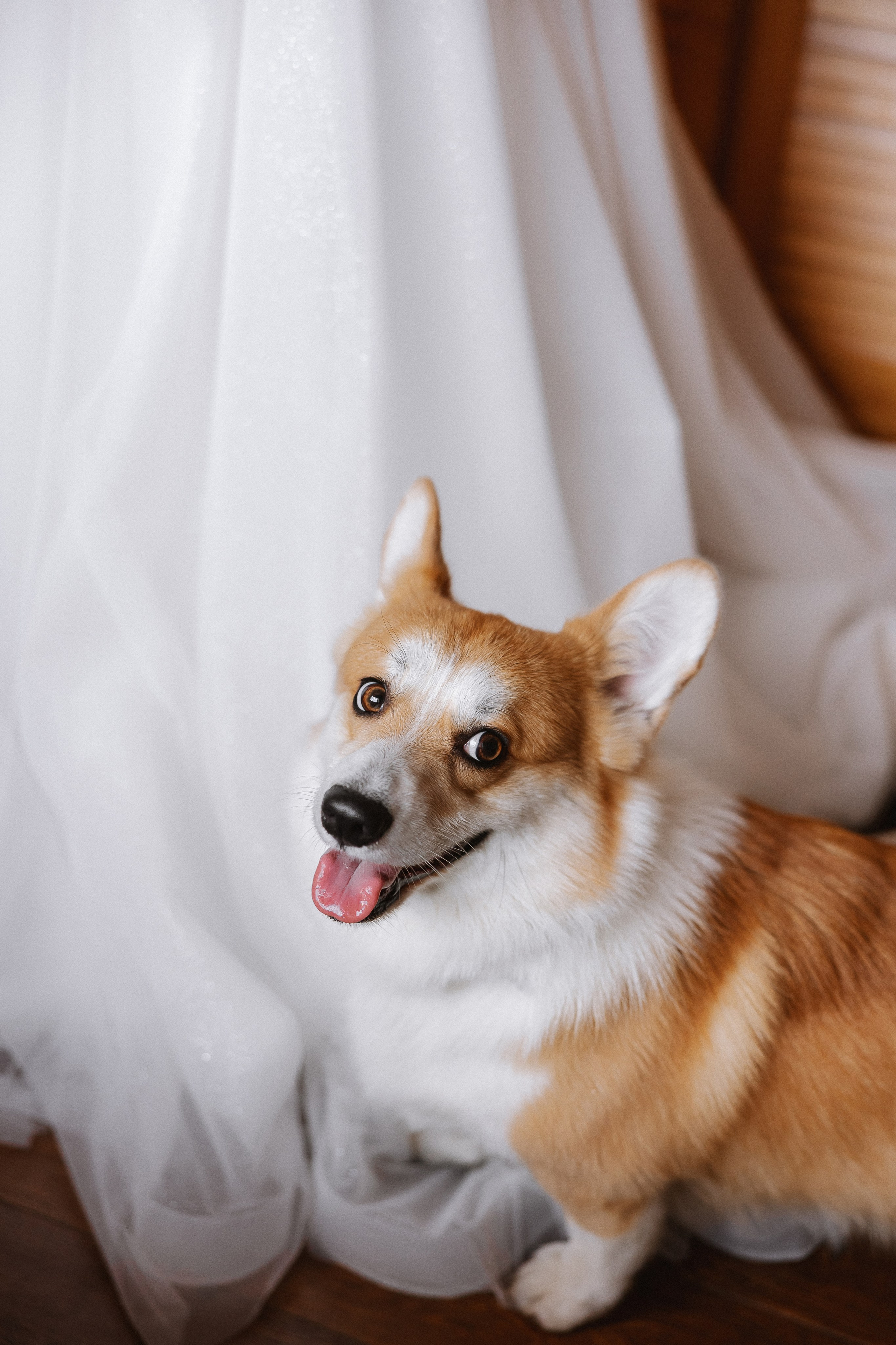 Настя и Дима. Свадебный фотограф | Москва | Демидова Мария