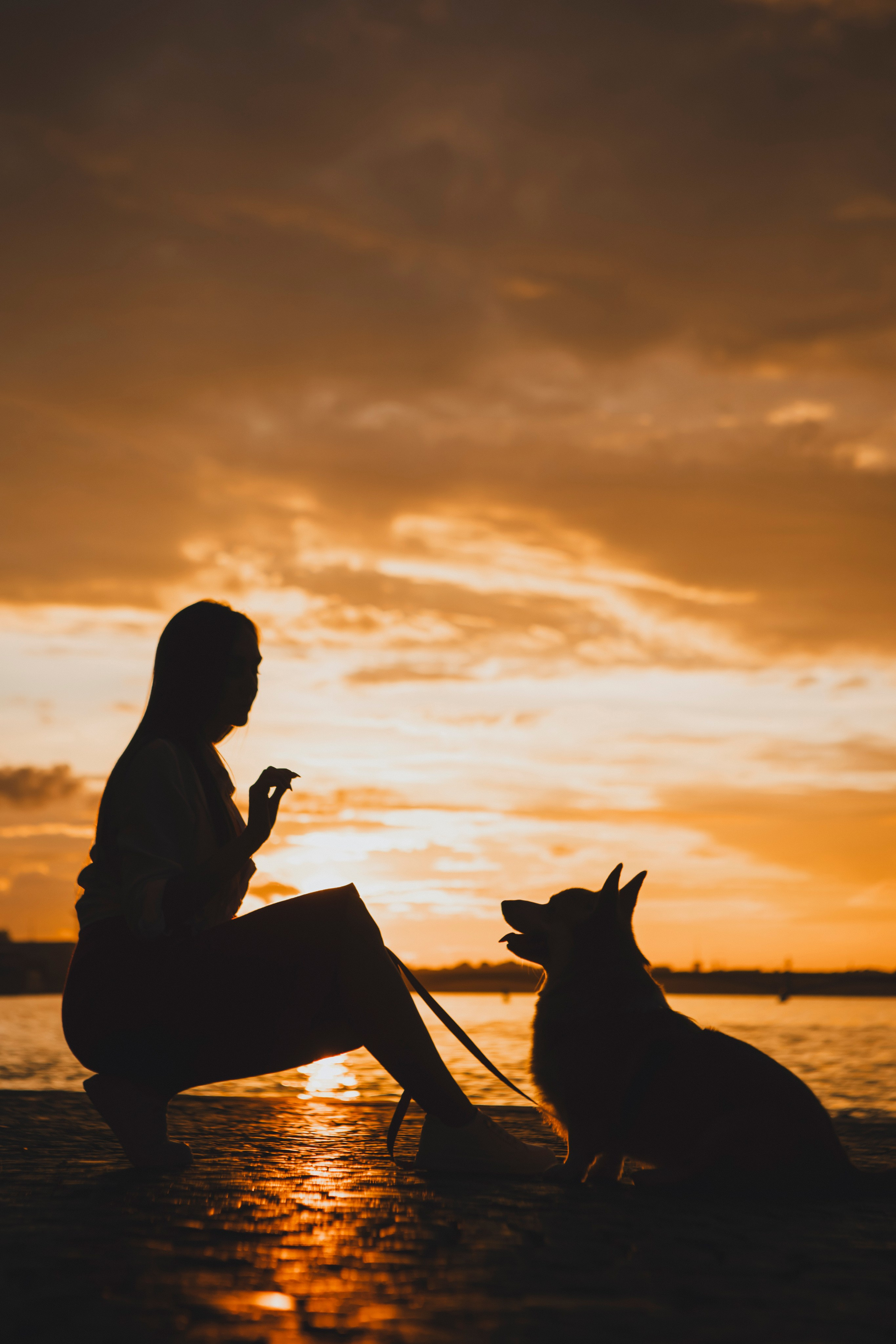 Настя и Стёпа. Фотограф-анималист в Санкт-Петербурге Алина Яхонт