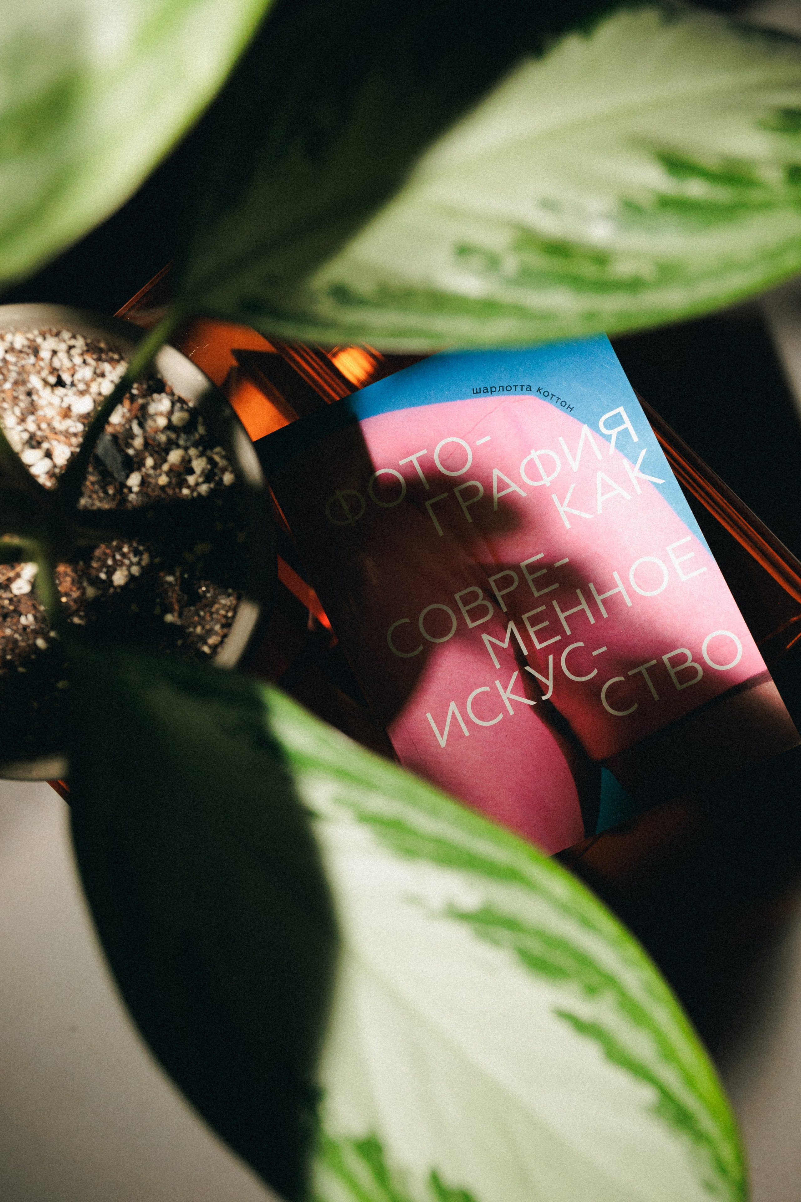 Репортаж. Фотограф Батурин Илья г. Красноярск