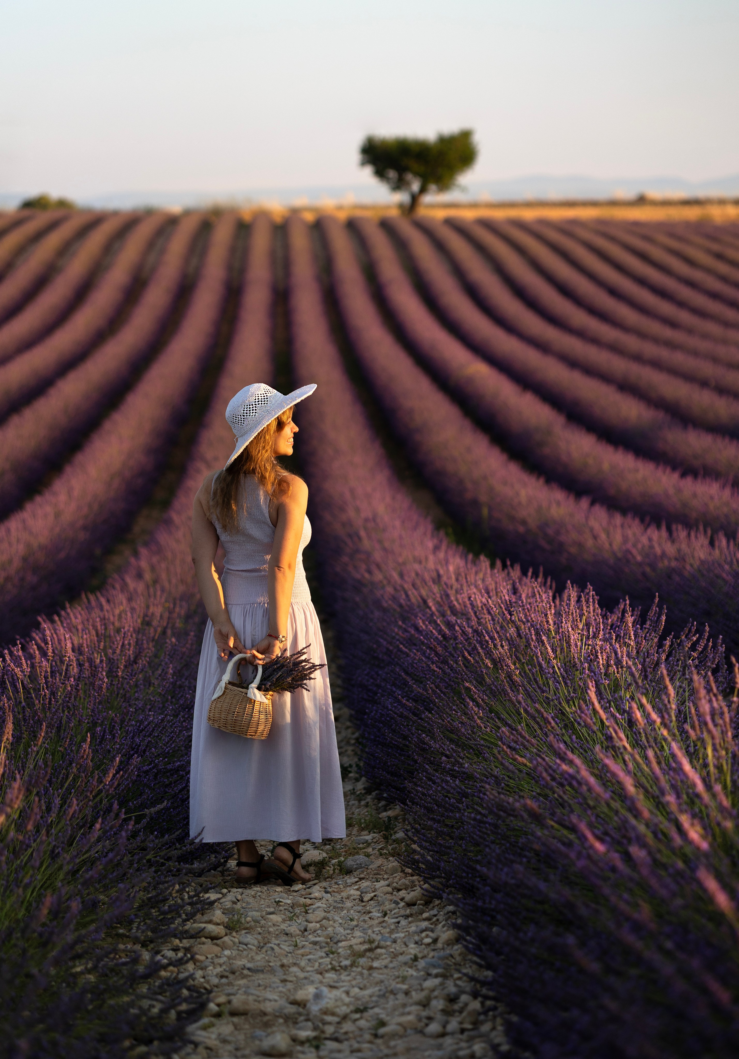 Provence. Фотограф в Мюнхене