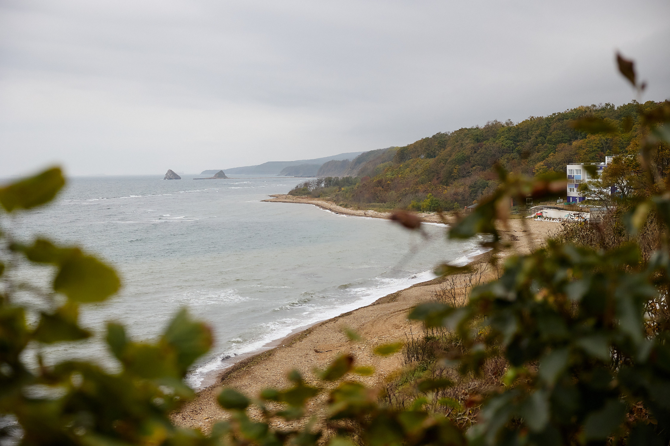 Фотограф репортаж Владивосток репортажная съёмка Приморский край фотосъёмка образование конференция форум