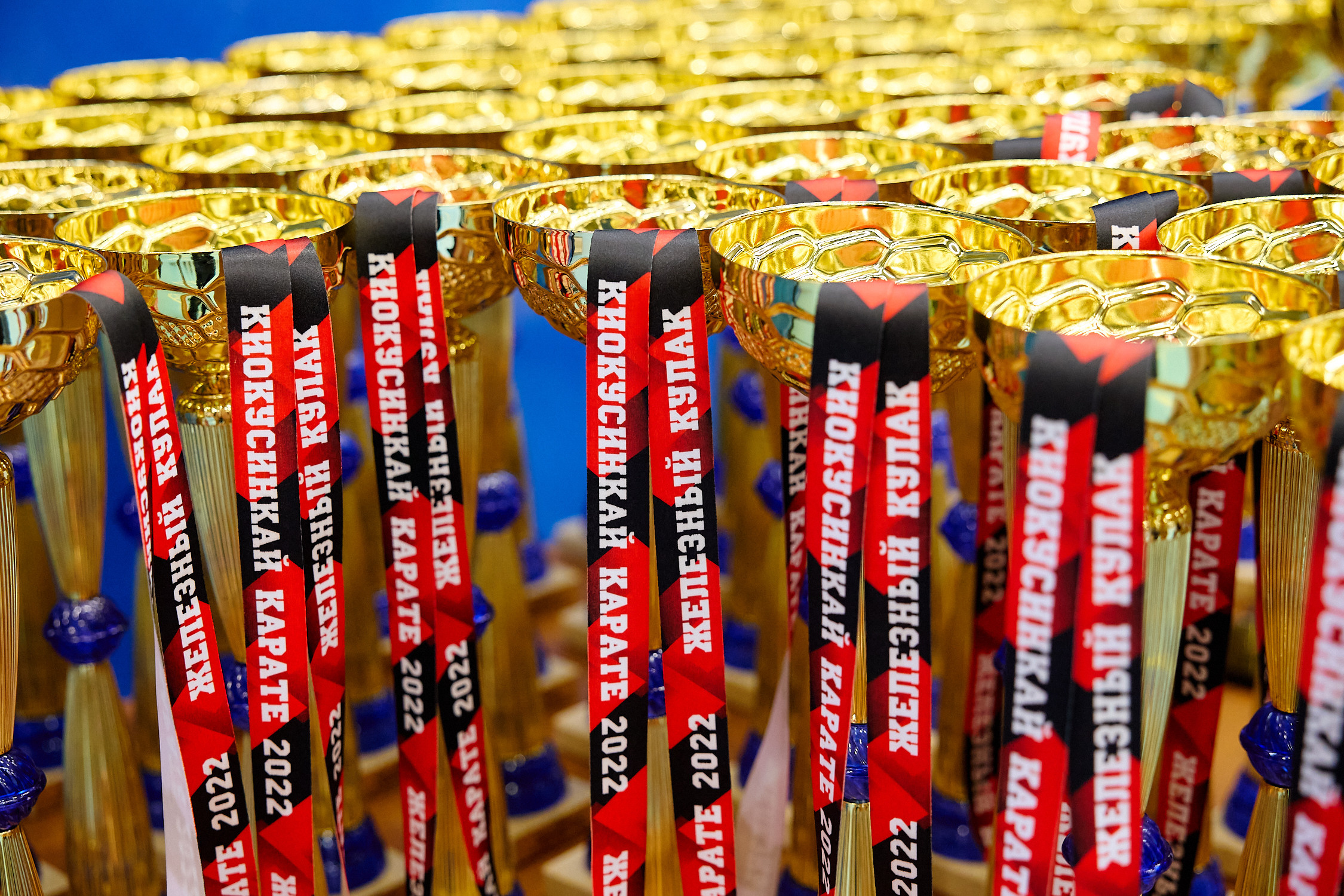 «Железный кулак 2022»