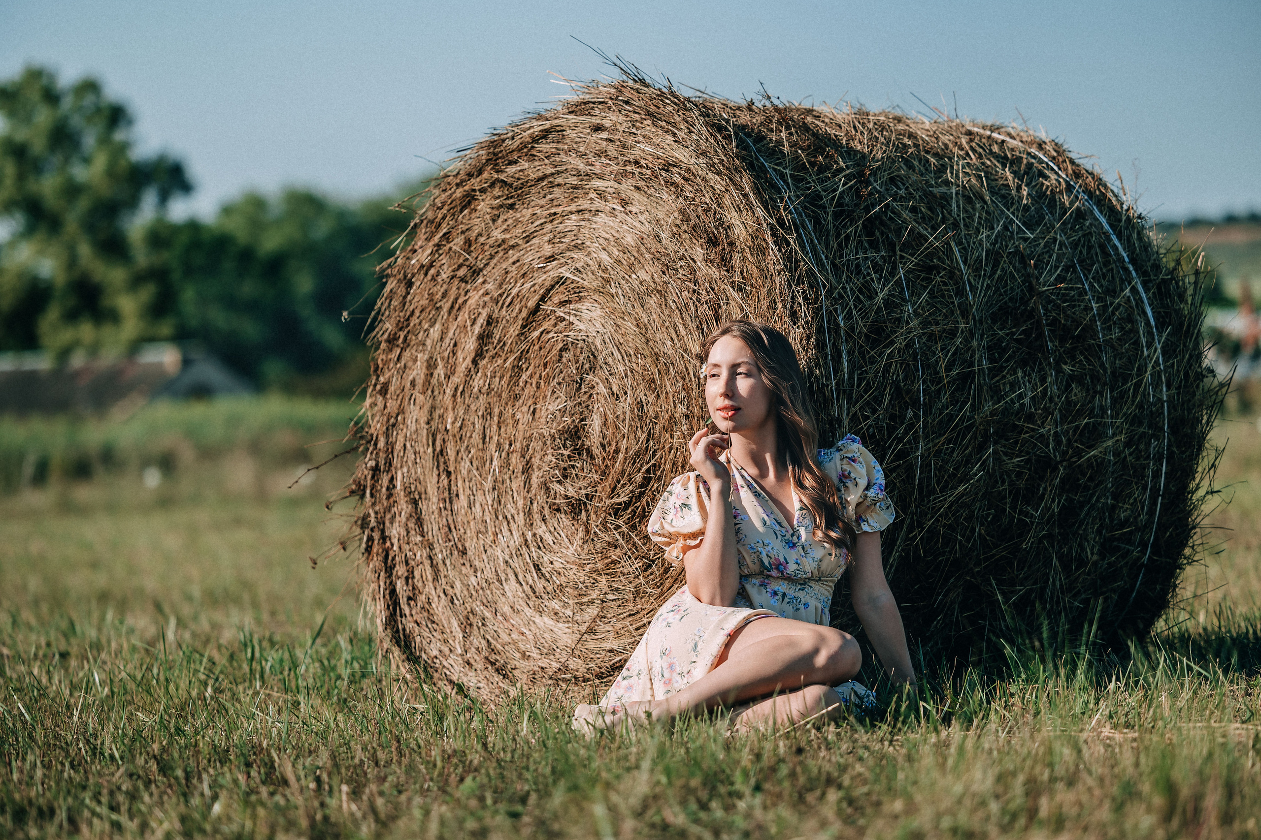 В поиске ромашкового поля…. Фотограф