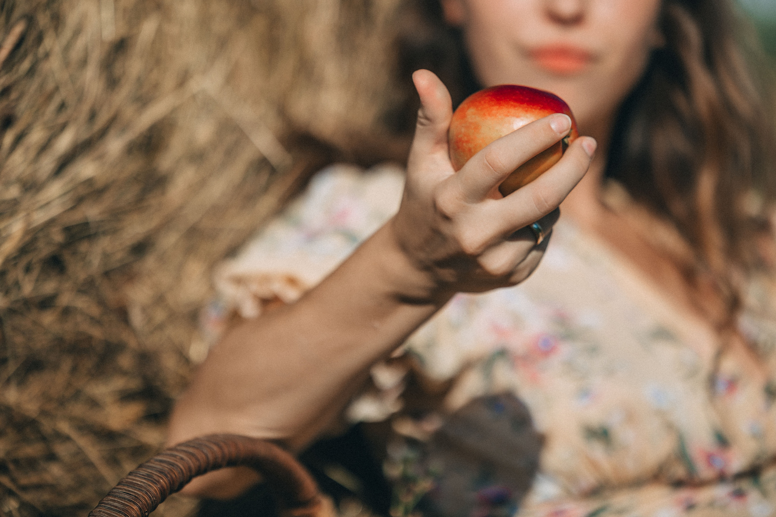 В поиске ромашкового поля…. Фотограф