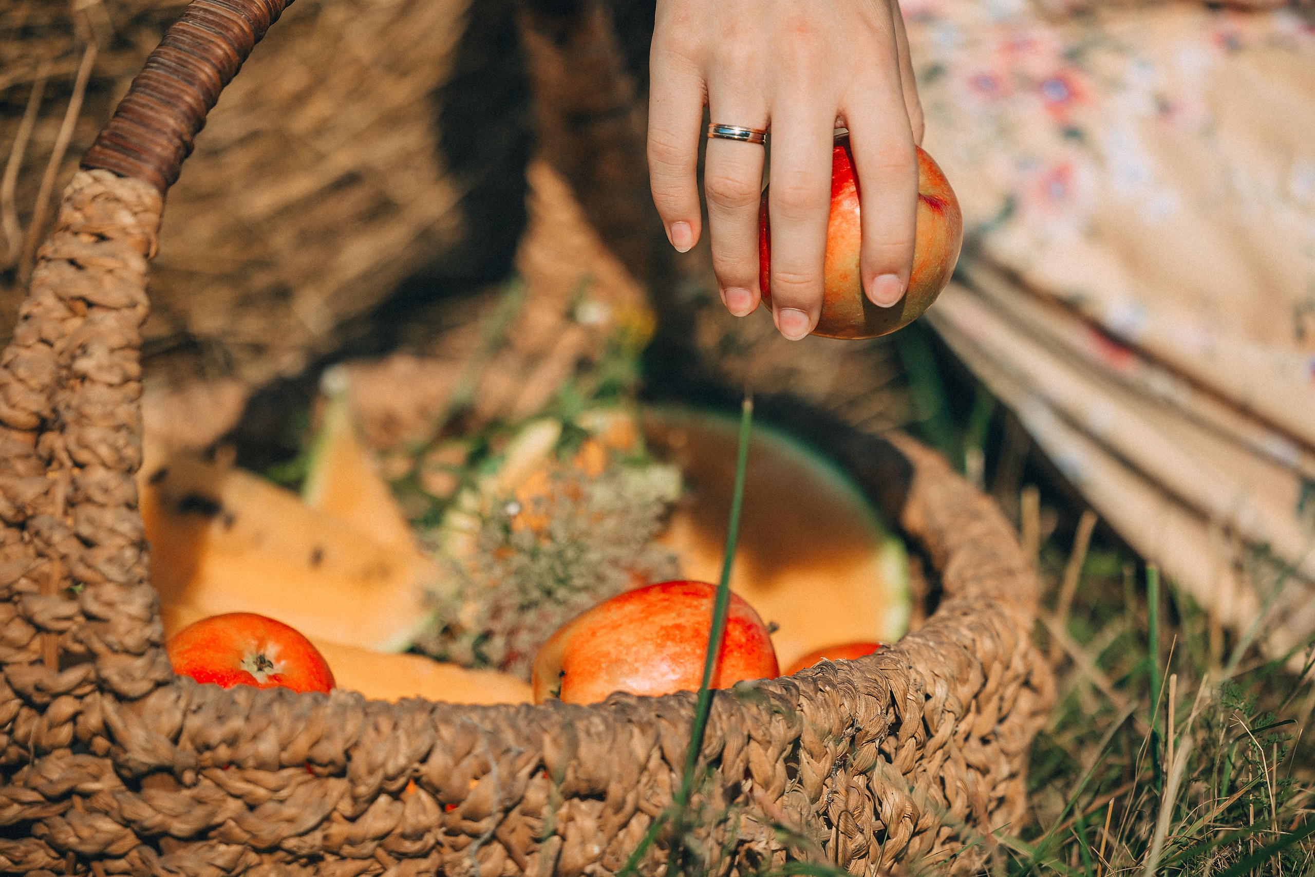 В поиске ромашкового поля…. Фотограф